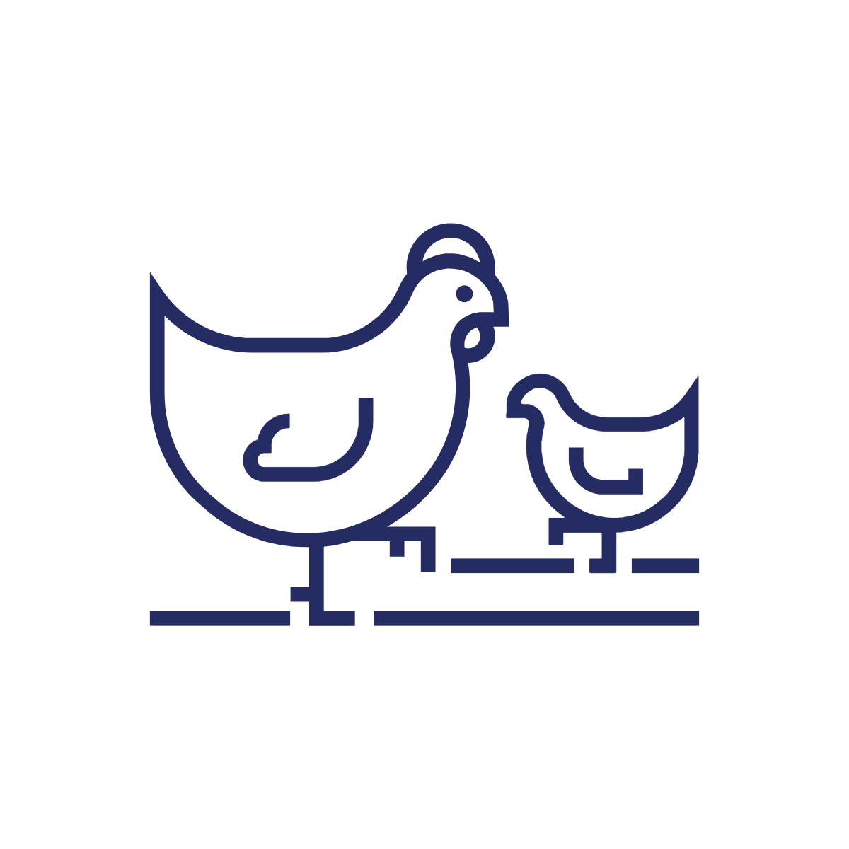 Poultry Farming
