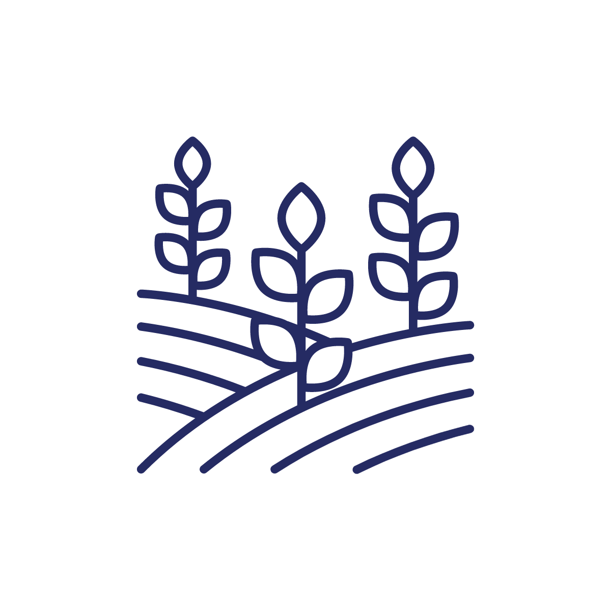 Agriculture