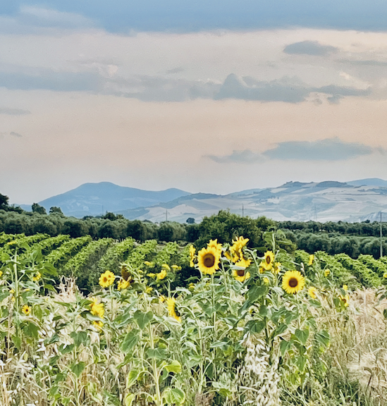 Boundaries &amp; Connection Workshop in Molise with Toni Mandelbaum, PhD., LCSW
