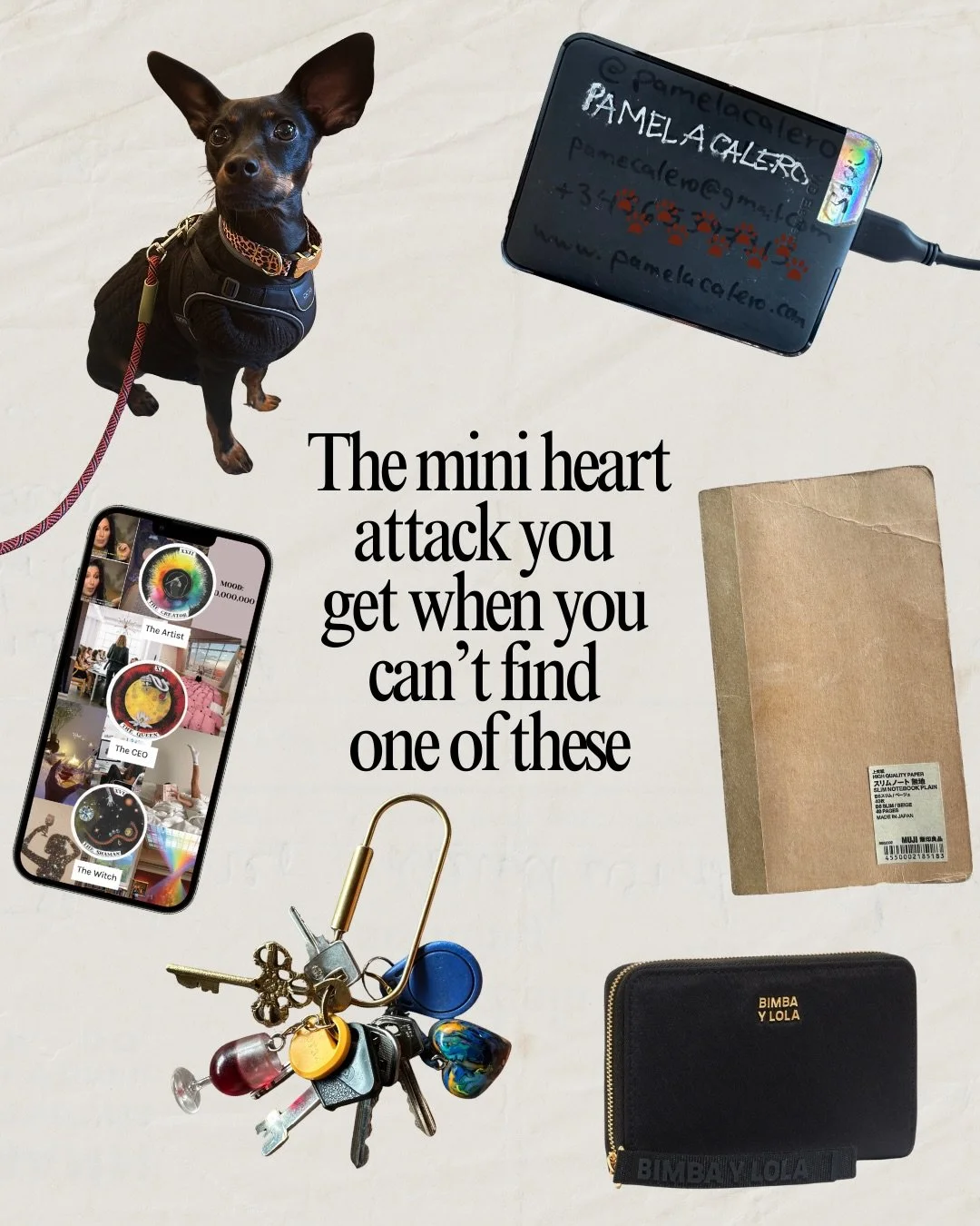 Literal, el coraz&oacute;n se me para cuando no encuentro una de estas. &iquest;A alguien m&aacute;s le pasa?

Yo marco todo.
Mi perrija lleva mis datos en el collar.
La primera p&aacute;gina de mi libreta tiene toda mi info.
Mi disco duro, tambi&eac