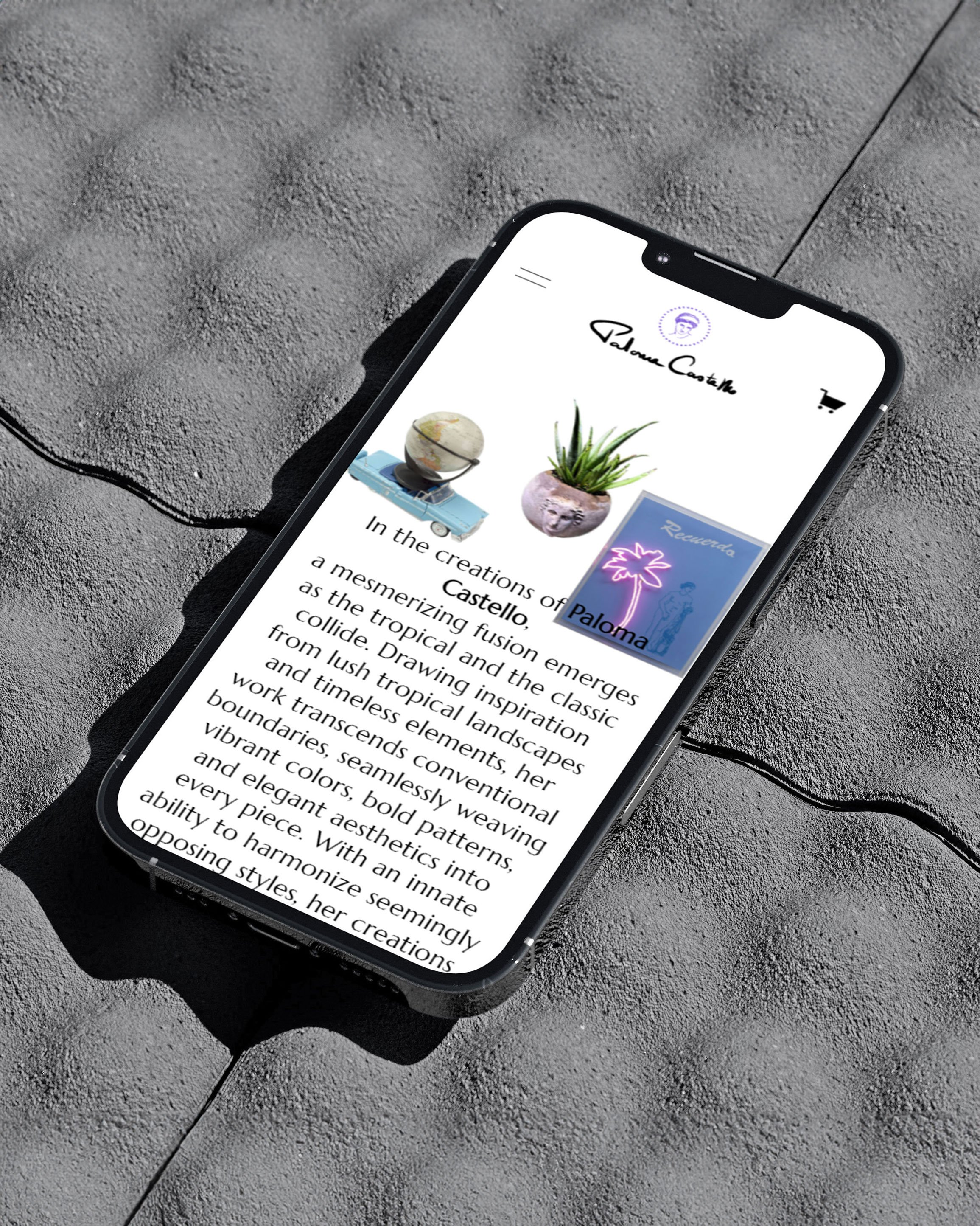 pamela-calero-lacharito-fest-brand-poster-mockup-display2.jpg