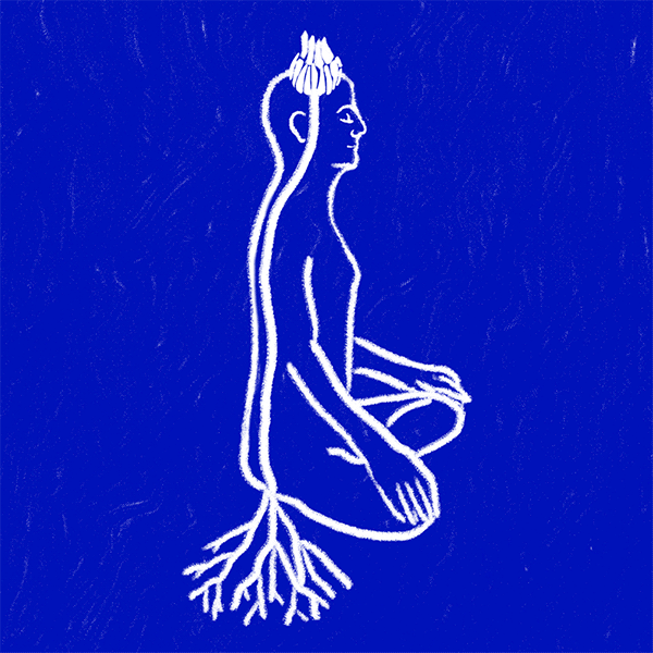 bloom.gif