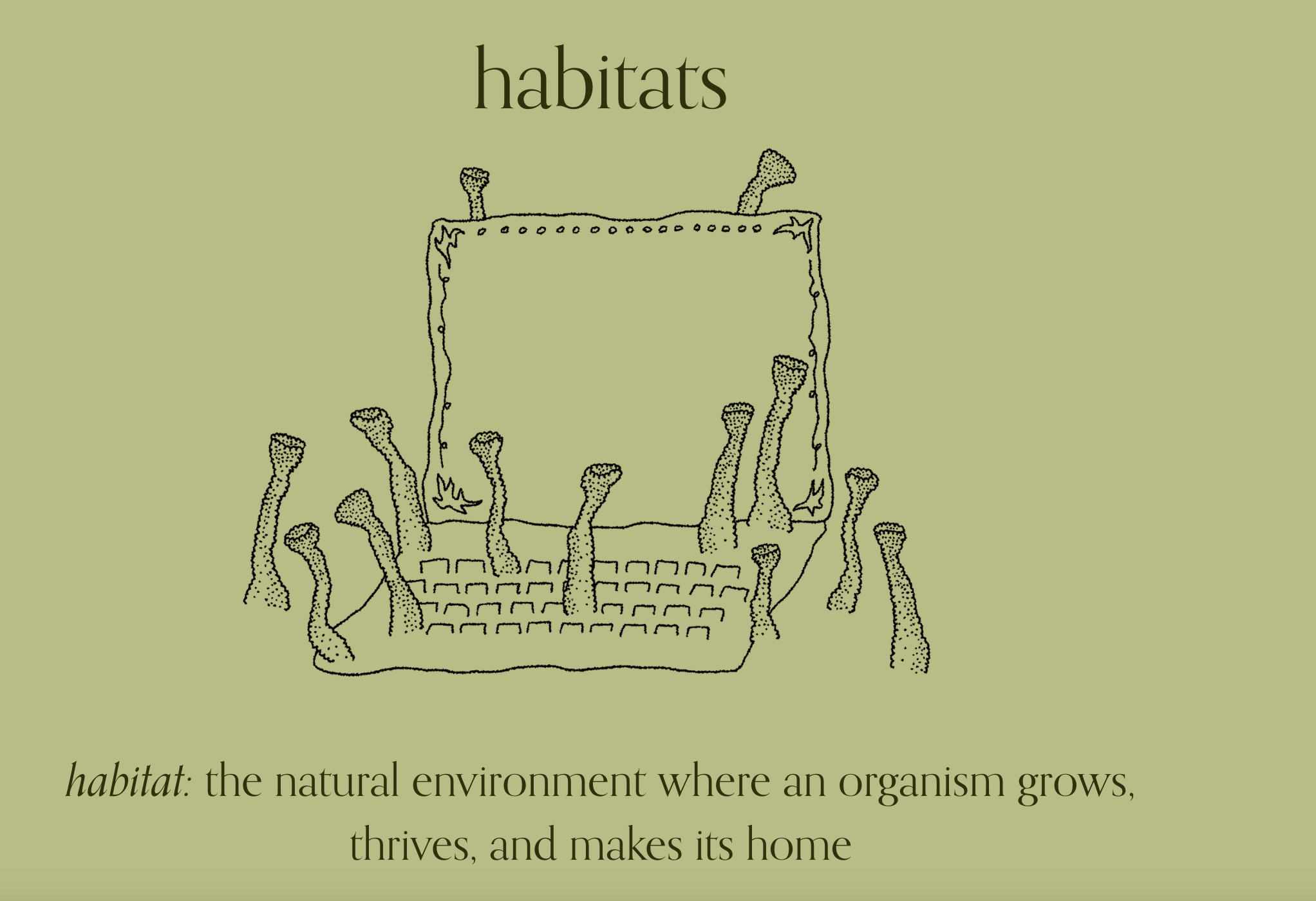 A hand-drawn illustration of an lichen laptop on a green background. Words read "habitat" and provide a definition "the natural environment in which an organism grows, thrives, and builds its home."