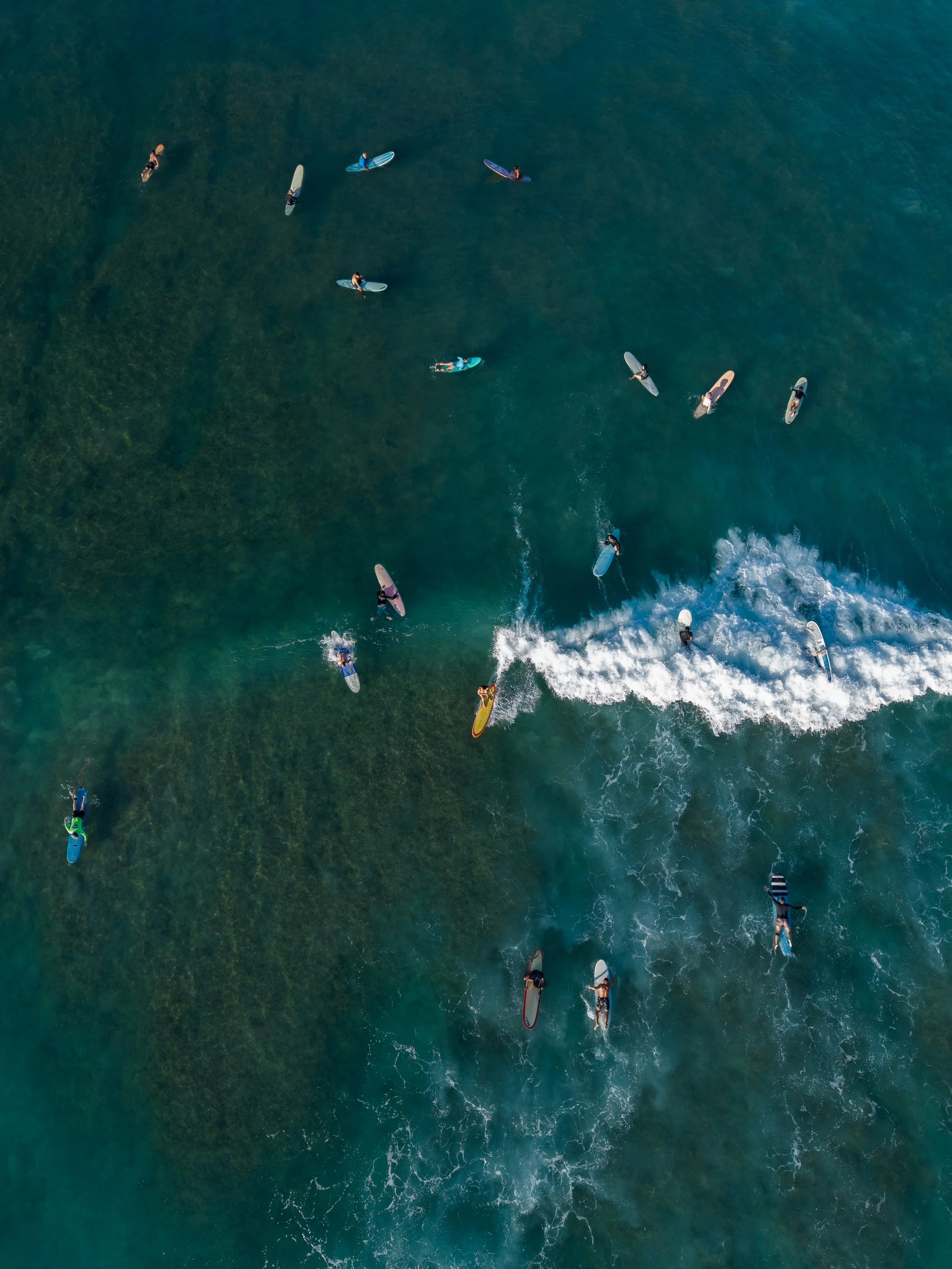 waikiki-4.jpg