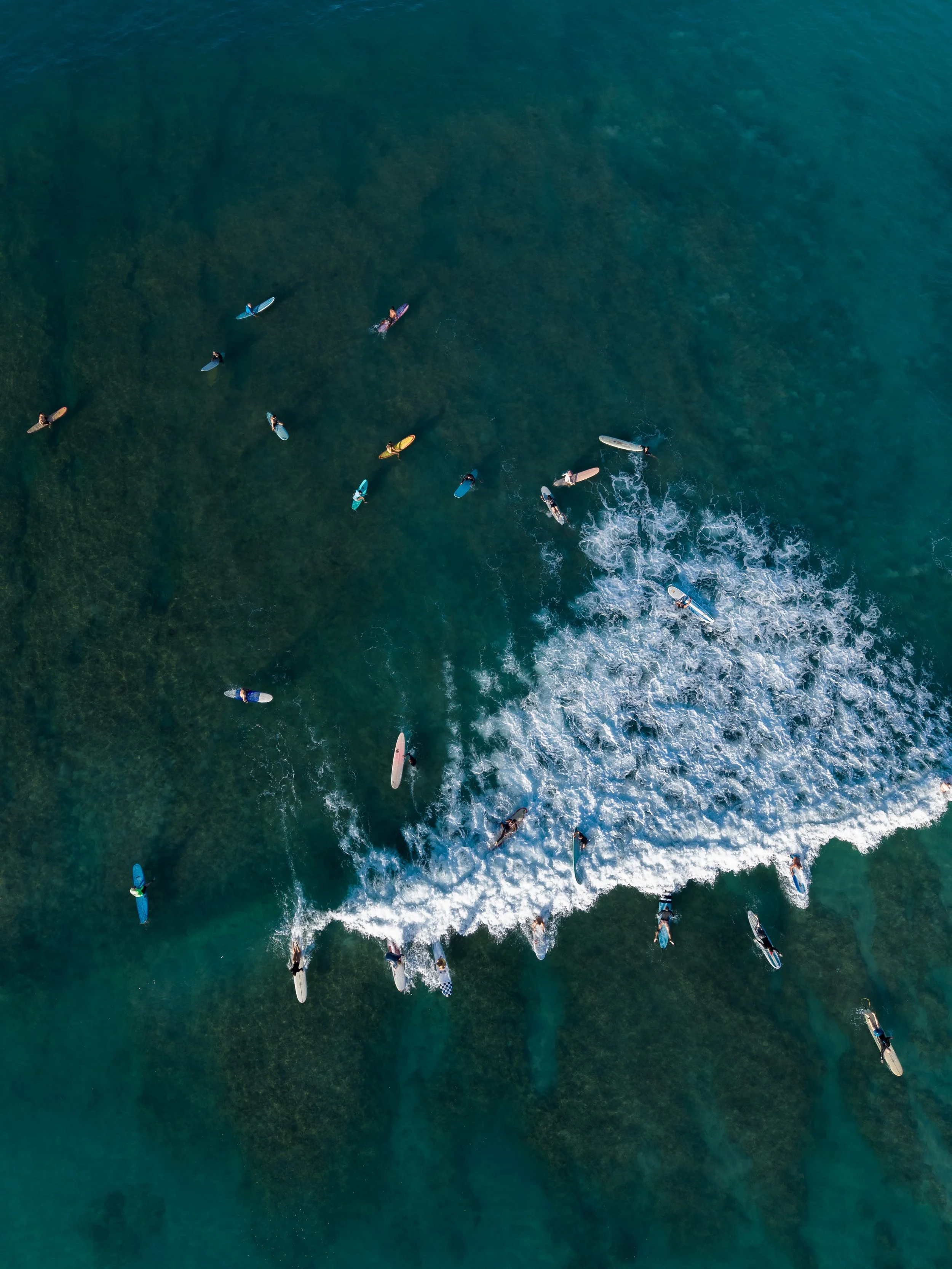 waikiki-3.jpg