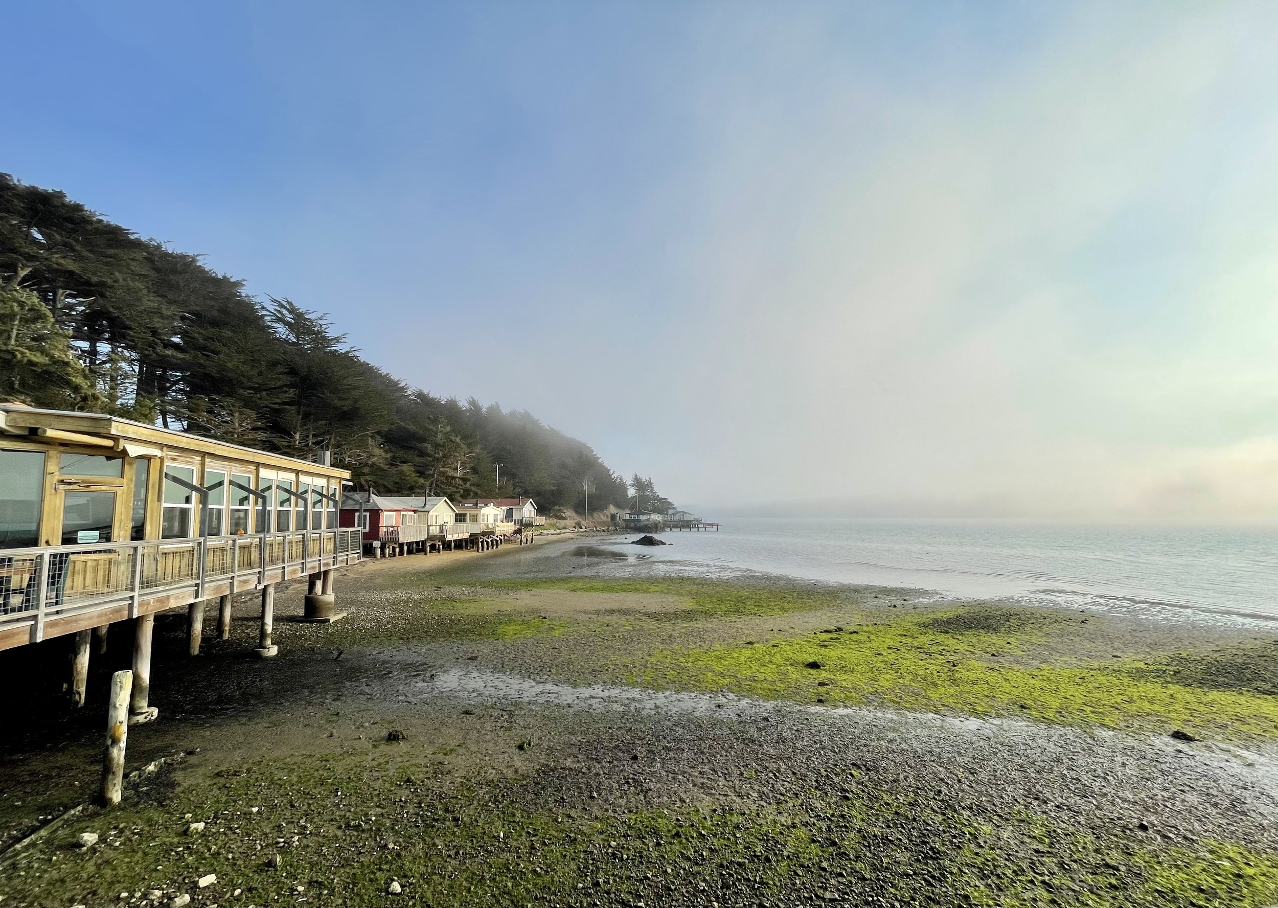 Evening light at Point Reyes 