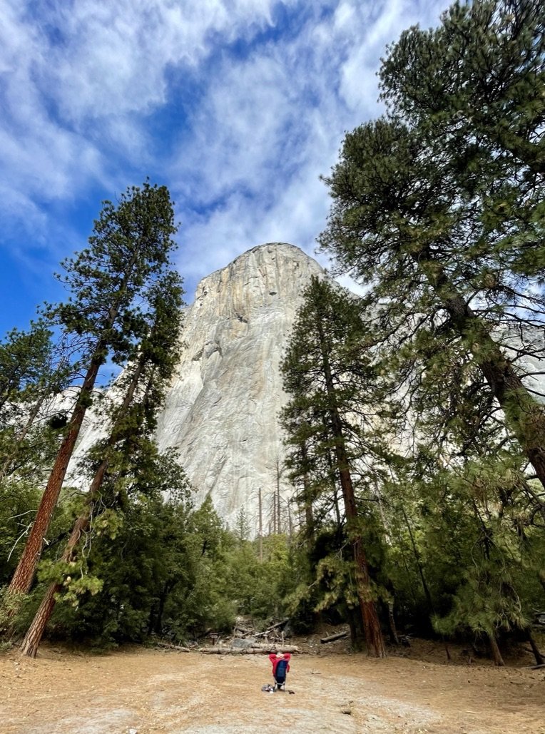 Admiring El Cap