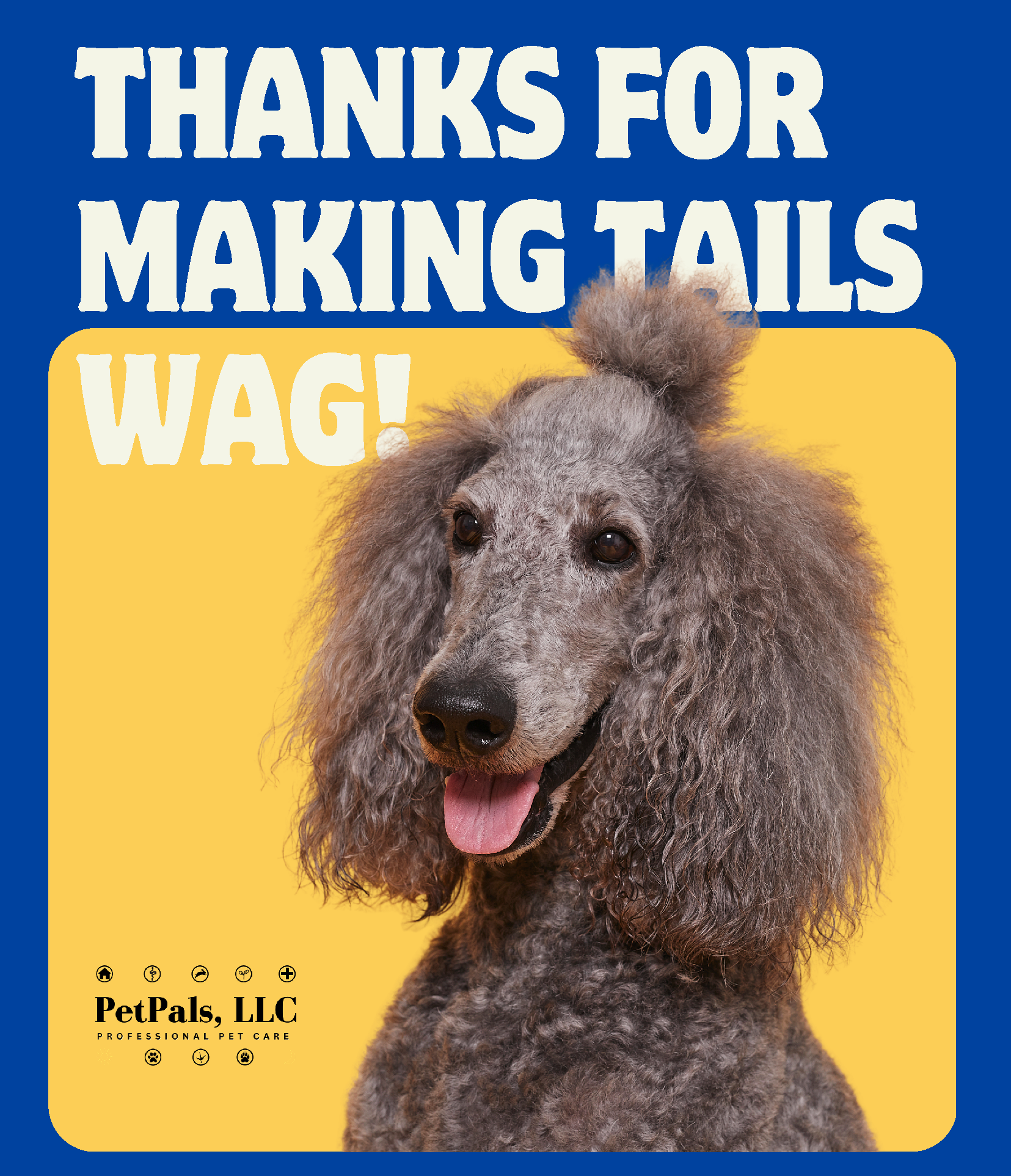 A newsletter cover features a poodle with a fun hairstyle and the words "Thanks for Making Tails Wag!"