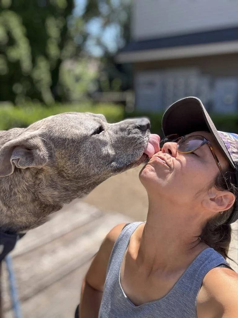 A woman smiling, wearing sunglasses and a hat, sitting outdoors with a large dog sitting on her lap. The scene is sunny with blue skies, trees, and a fenced area in the background.
