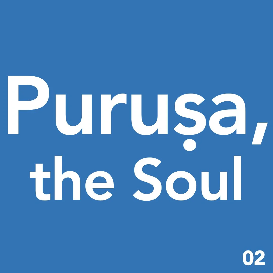 09 :: TYS : Puruṣa