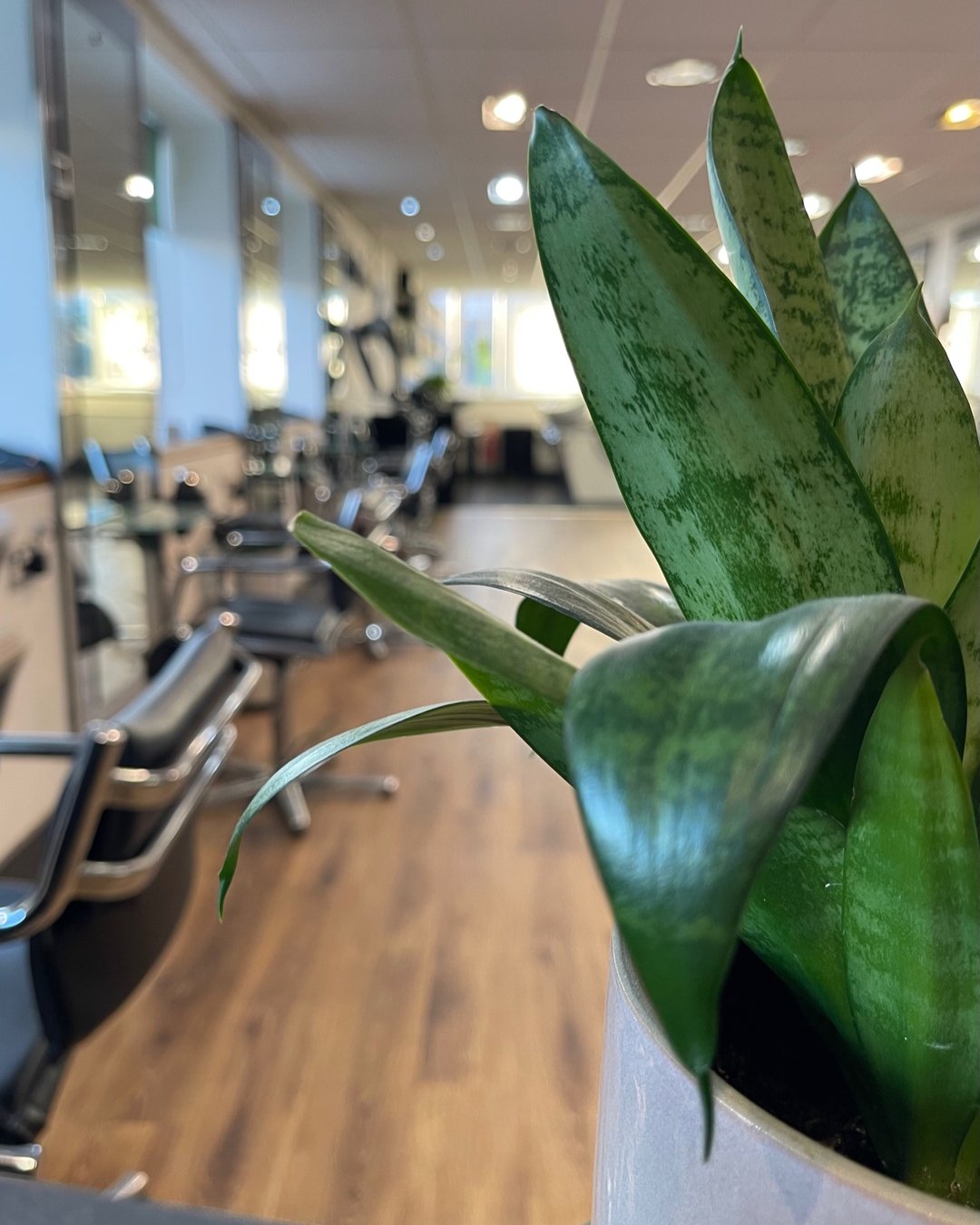 WHY YOUR CONTACT INFORMATION MATTERS💻
Keeping your contact details up to date is key to ensuring a seamless salon experience.
APPOINTMENT CONFIRMATION & REMINDERS- We send a confirmation email as soon as your appointment is scheduled. You&rsqu