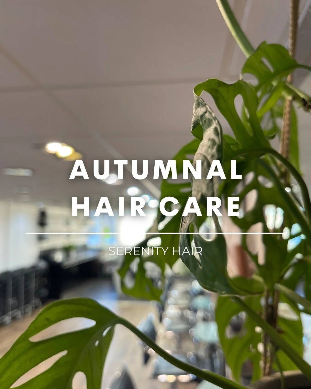 AUTUMNAL HAIR CARE🍂

As the leaves change, so should your hair care routine! The crisp fall air can leave your hair feeling dry and brittle, so it&rsquo;s time to swap out summer staples for nourishing products that keep your locks healthy all seaso
