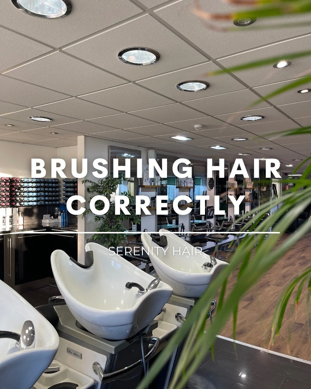 BRUSHING HAIR CORRECTLY💇‍♀️
Brushing your hair might seem like the simplest part of your routine, but did you know the wrong technique could be causing breakage, frizz, or even hair loss? Don’t worry, here’s how to brush like a pro