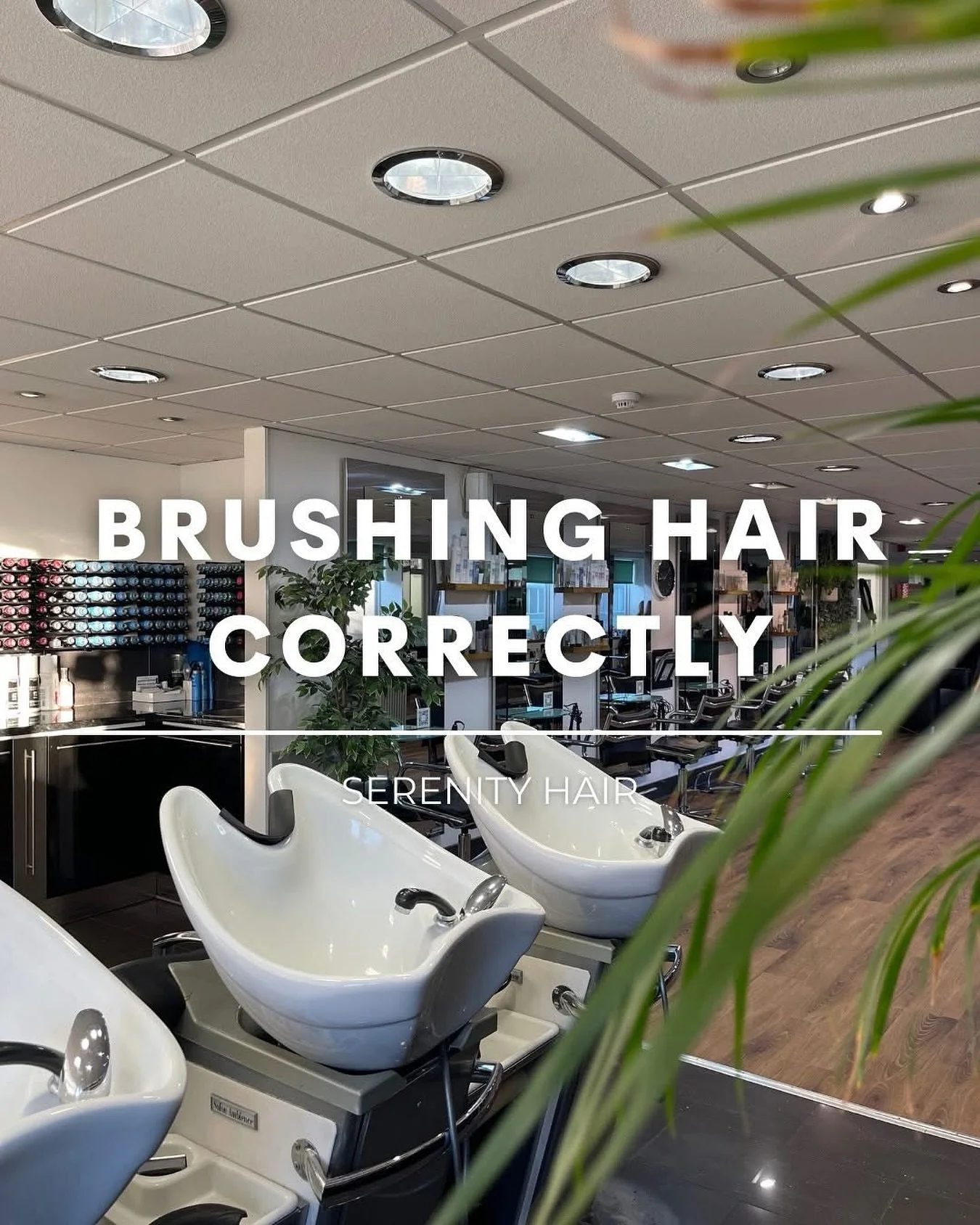 BRUSHING HAIR CORRECTLY 💇‍♀️
Brushing your hair might seem like the simplest part of your routine, but did you know the wrong technique could be causing breakage, frizz, or even hair loss? Don’t worry, here’s how to brush like a pro