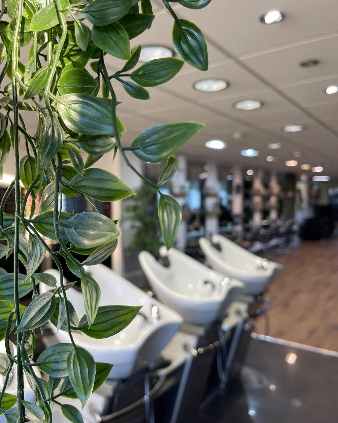 CHRISTMAS APPOINTMENTS✨

The festive season is fast approaching, and appointments are filling up quickly! With only 5 weeks until Christmas, many dates are already fully booked.

To ensure you secure your spot before the holiday rush, we highly recom