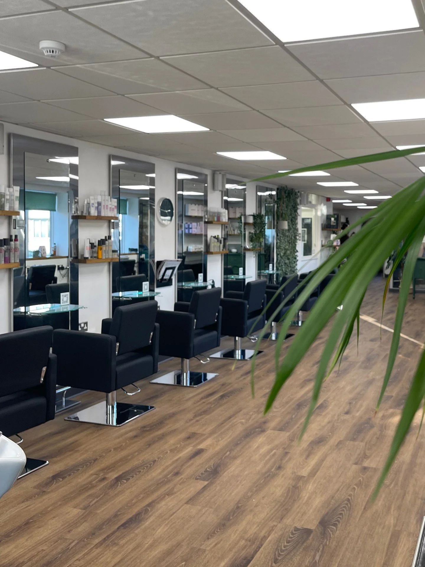 CARING FOR YOUR HAIR THIS SPRING🌷

Spring is here, and it&rsquo;s the perfect time to refresh your hair after a long winter! The cold months can leave your locks feeling dull and dry. Here's how to give your hair a fresh start this season.

SCALP DE