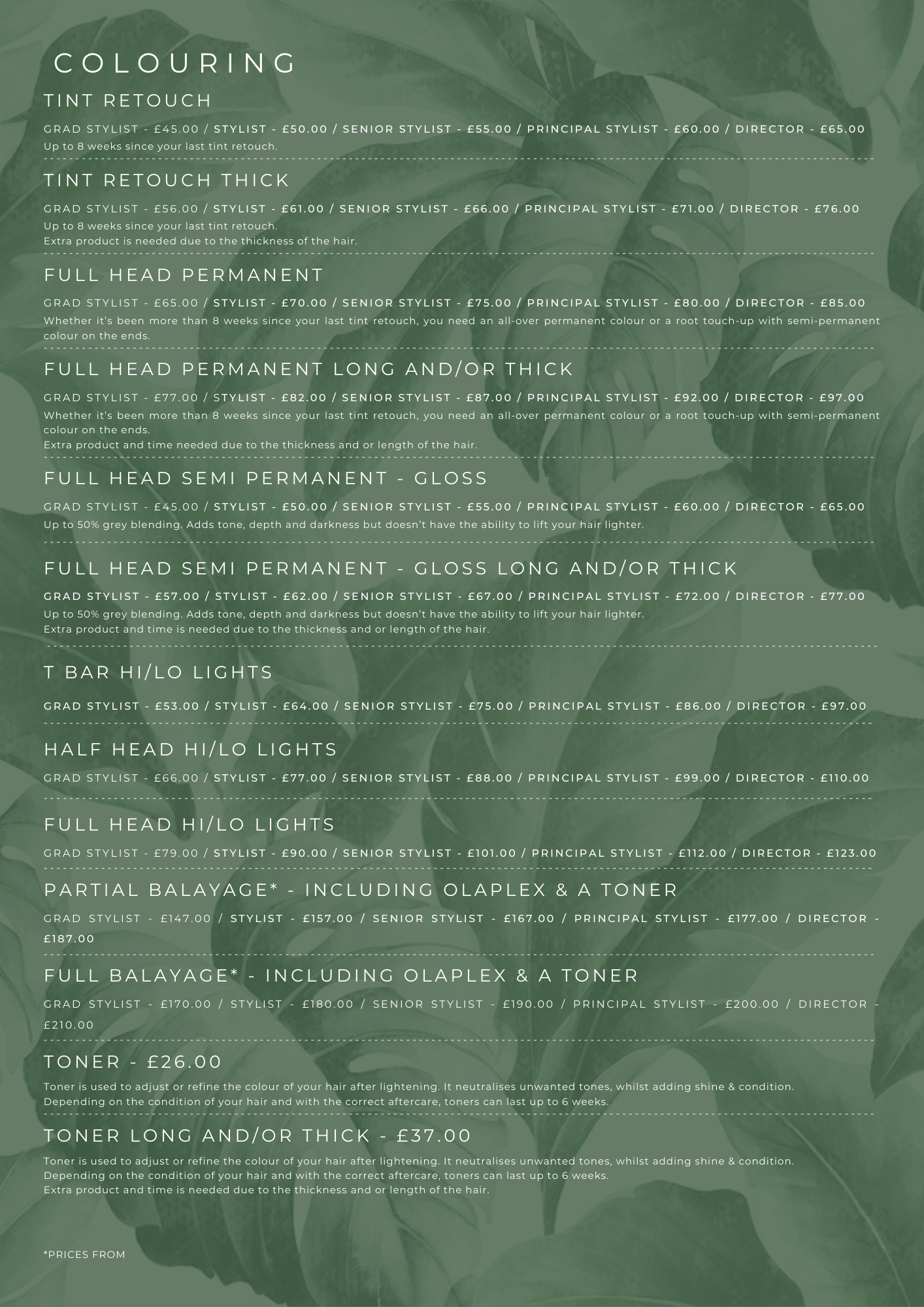 A detailed hair coloring and styling price list on a green leafy background, listing services like tint retouch, permanent hair color, semi-permanent, highlights, balayage, toner, with costs specified.