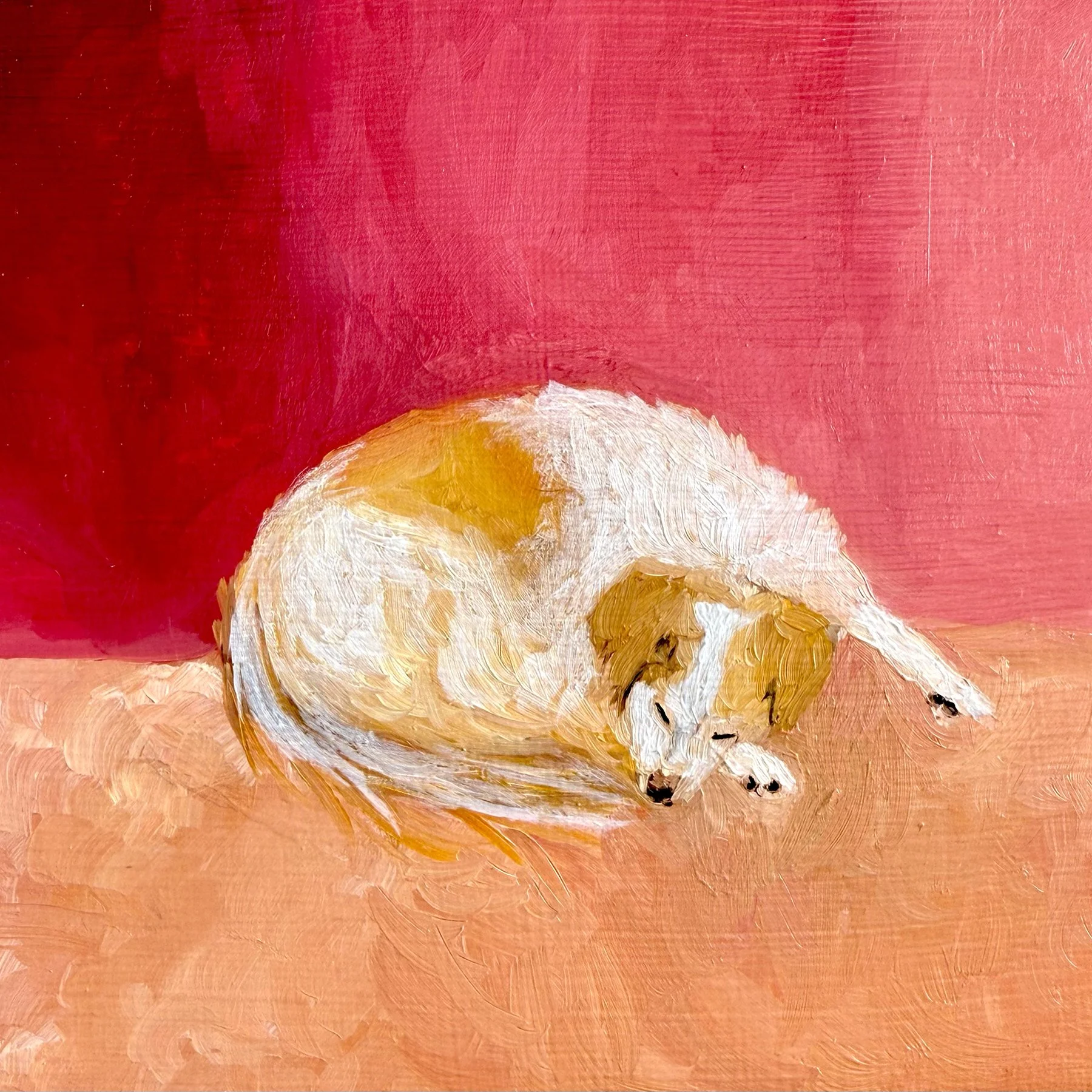 dog nap, 6"x6", oil on wood panel. 2025