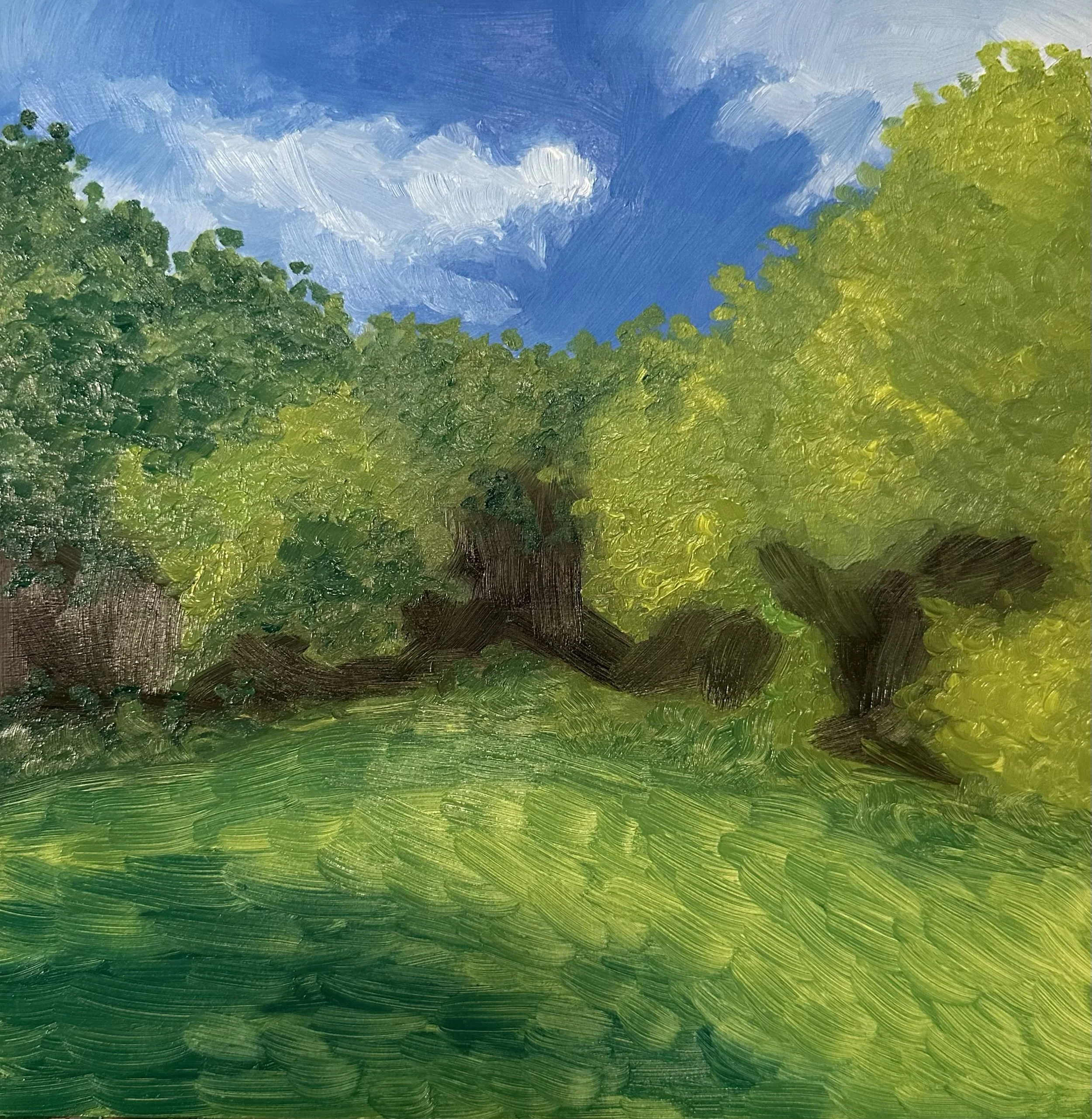 river forest, 10"x10", oil on masonite, 2024