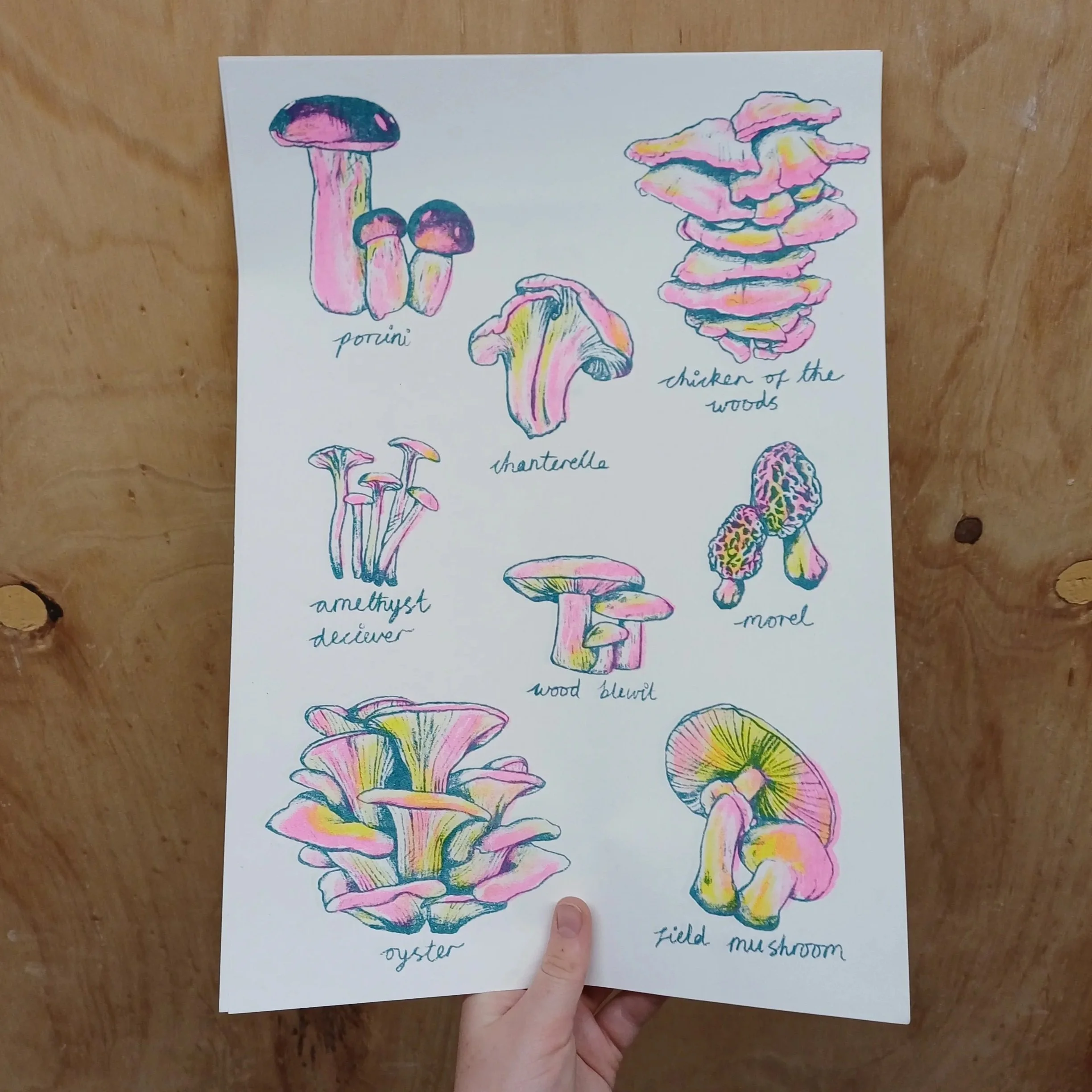 A3 Riso Print - Mushrooms