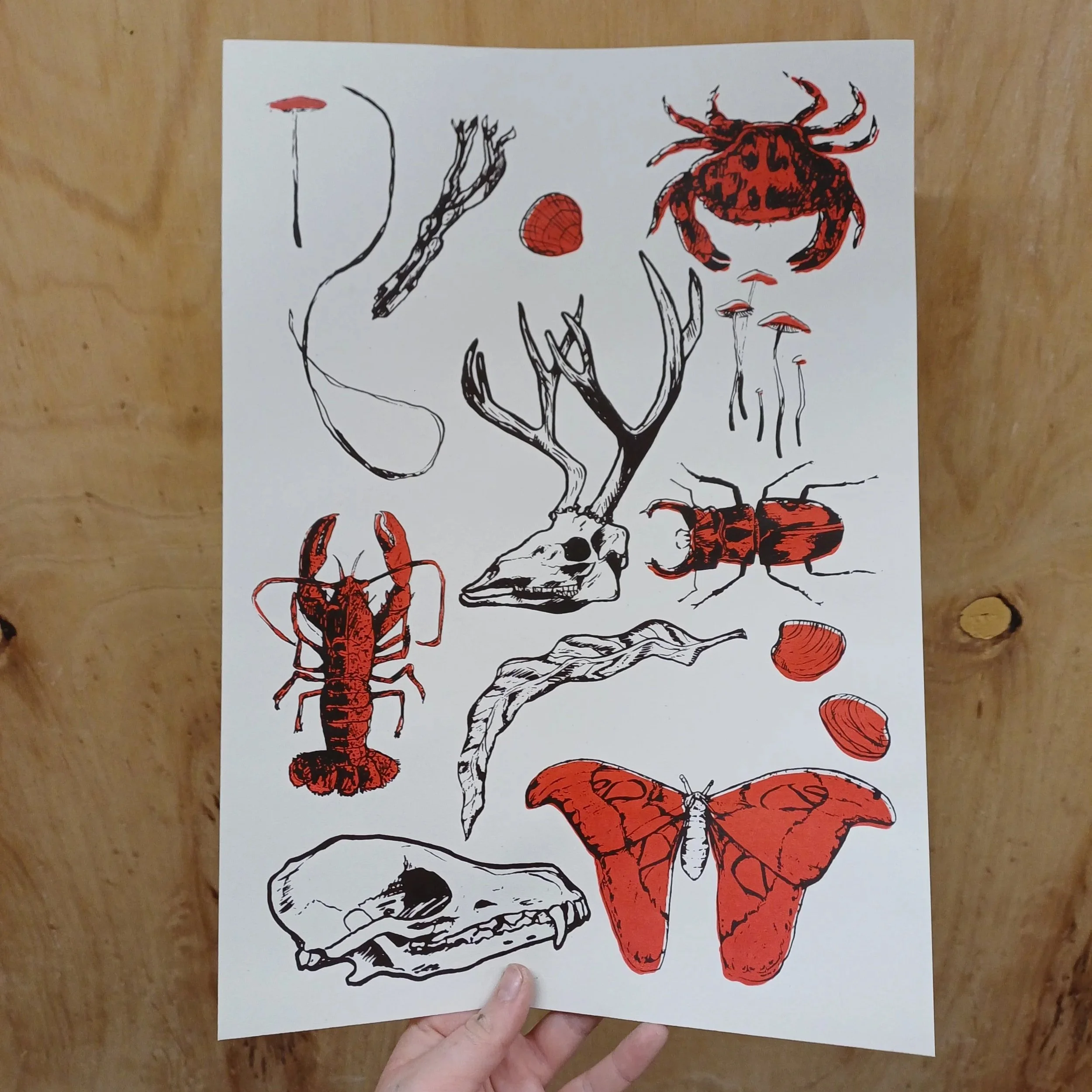 A3 Screen Print - Death, Decay and a Collection of Trinkets