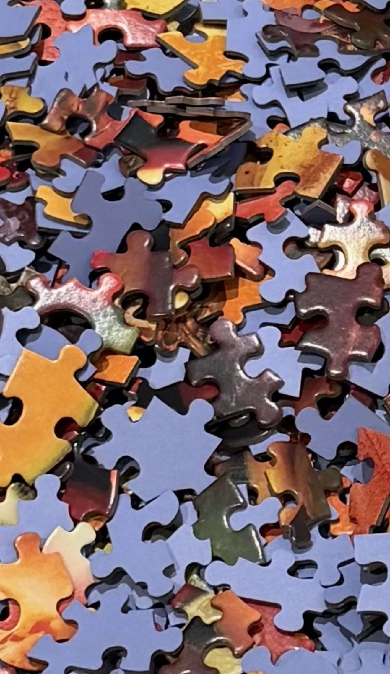 Purpose and perseverance