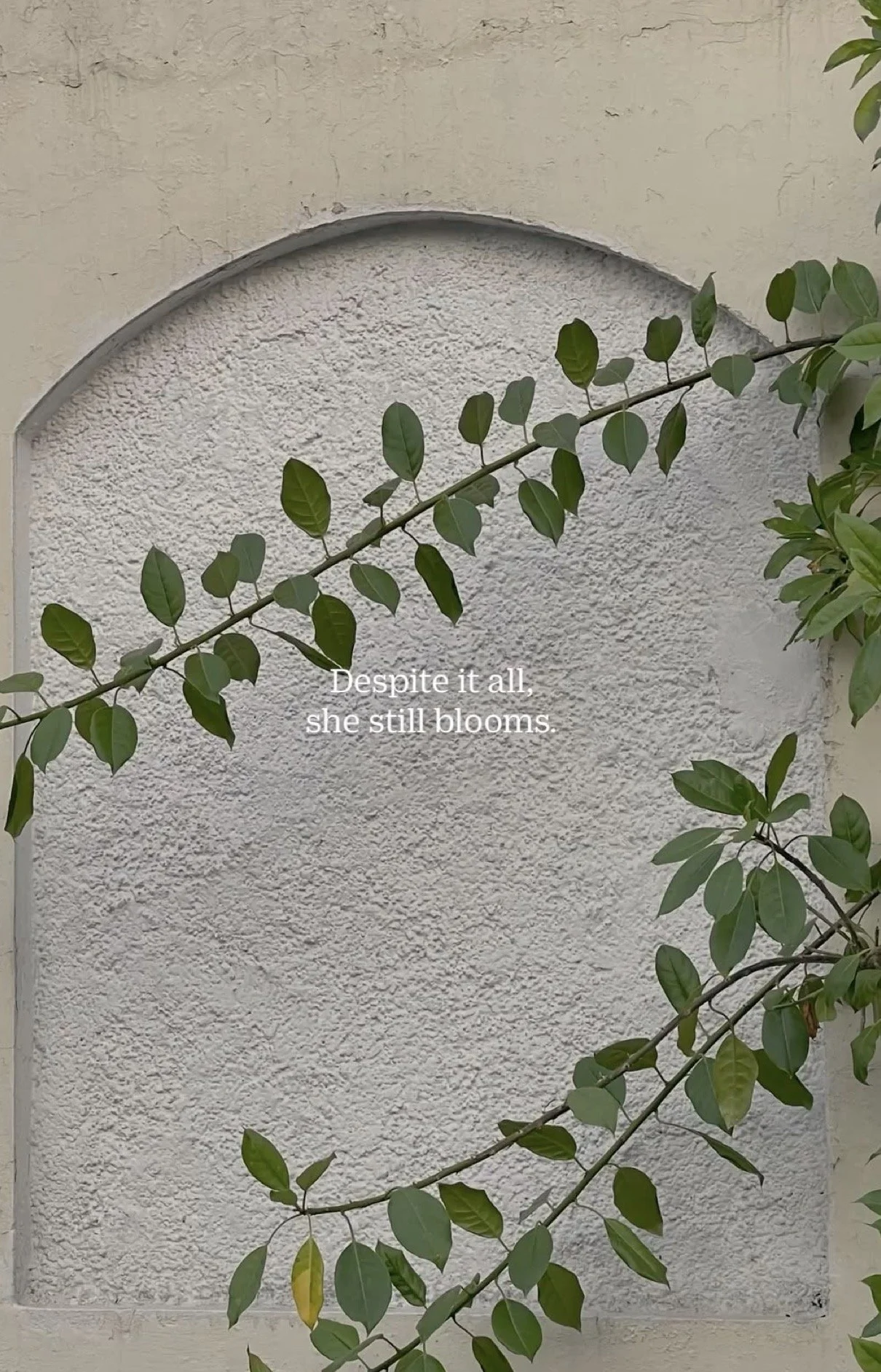 August 6: My Heart Has Survived