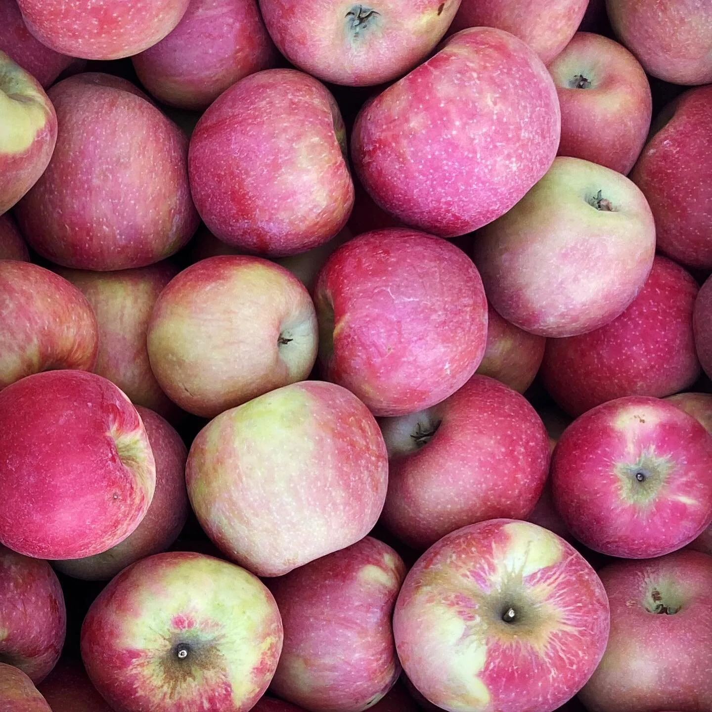 Products — Fowers Fruit Ranch LLC