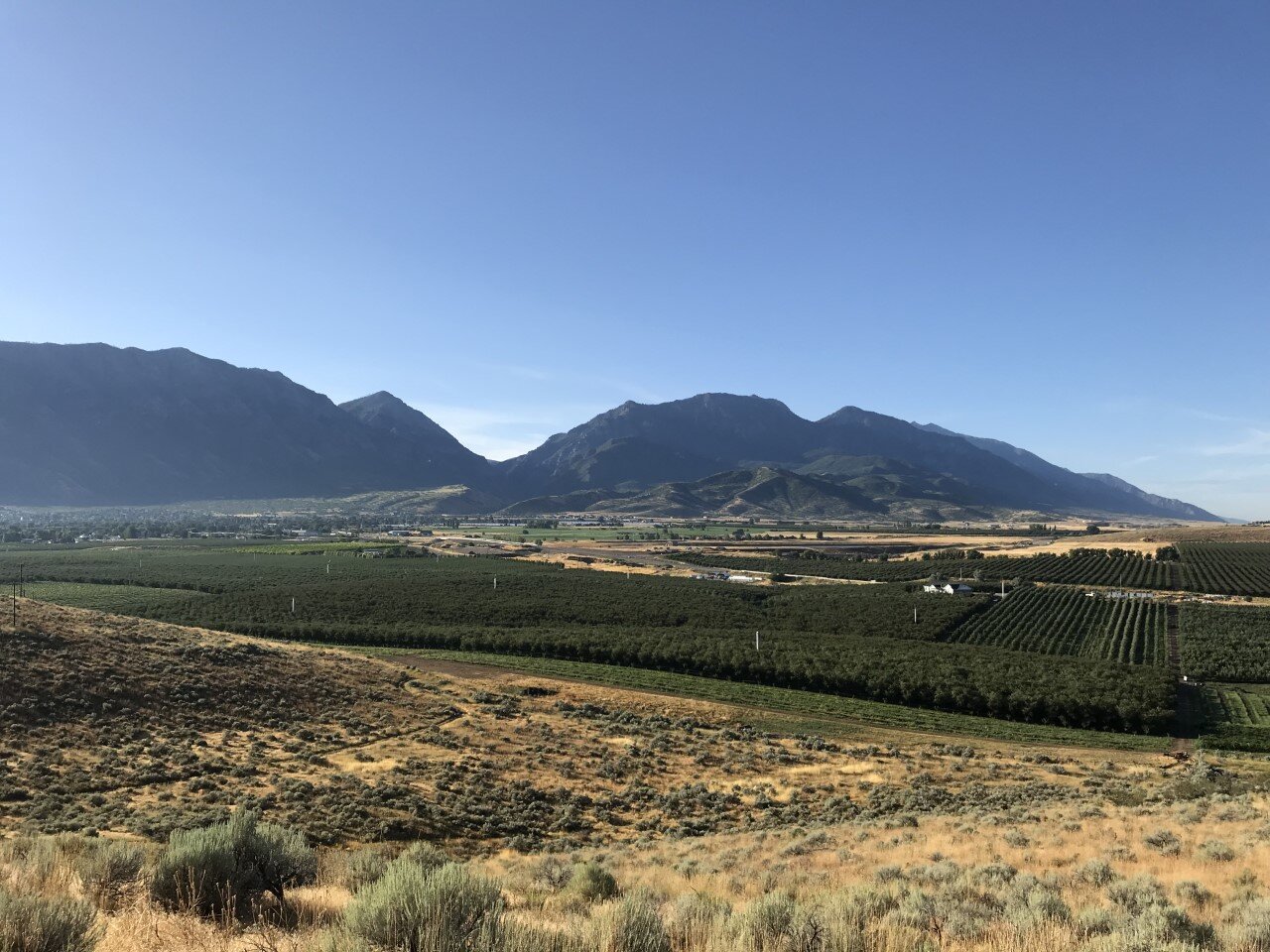 About — Fowers Fruit Ranch LLC