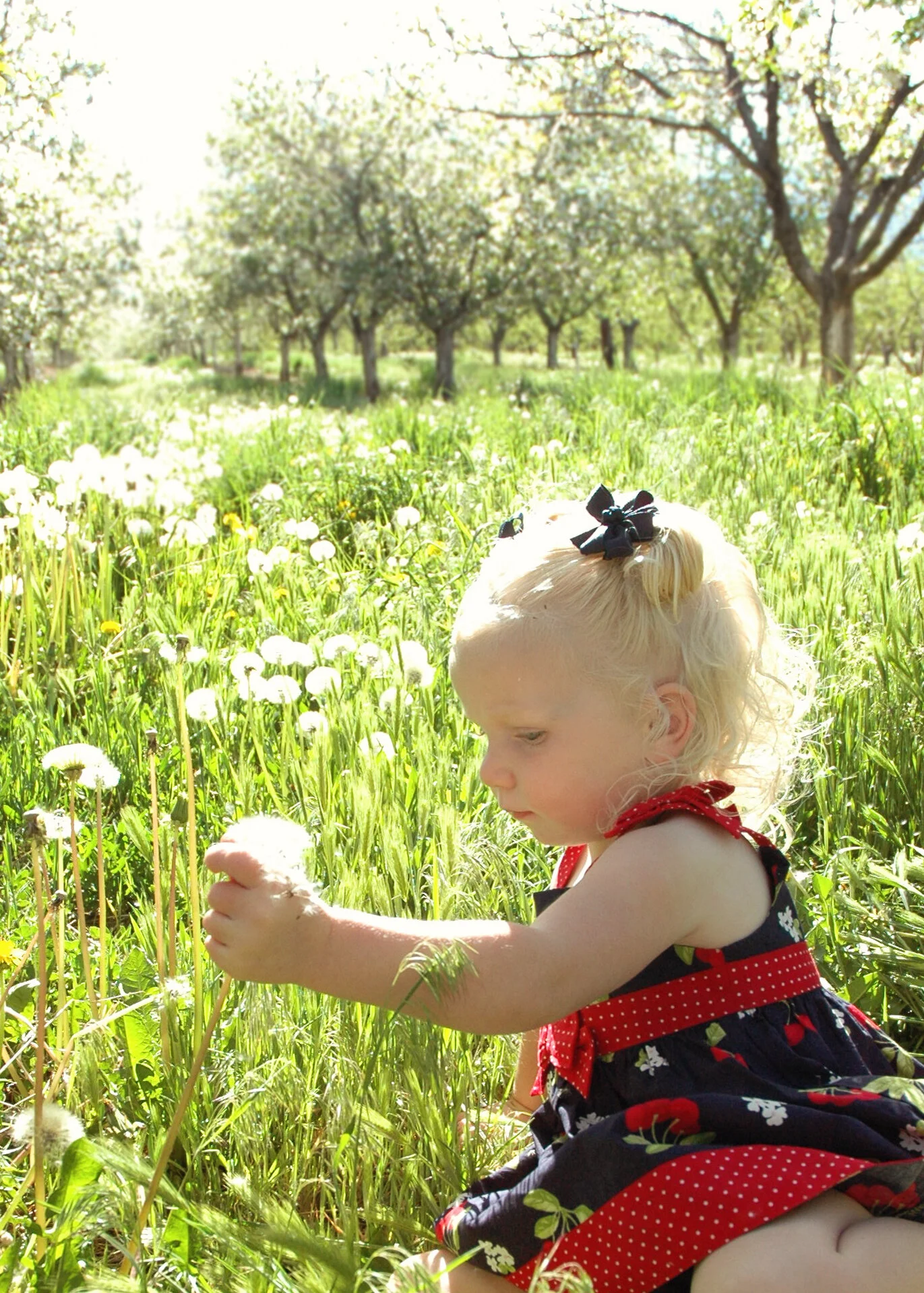 About — Fowers Fruit Ranch LLC