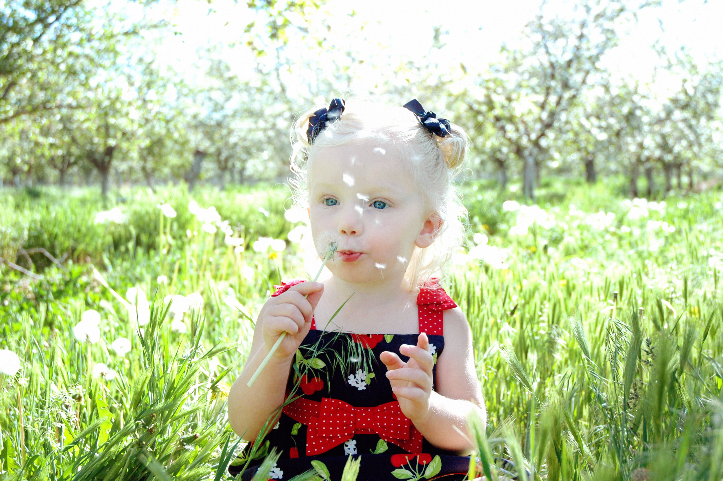 About — Fowers Fruit Ranch LLC