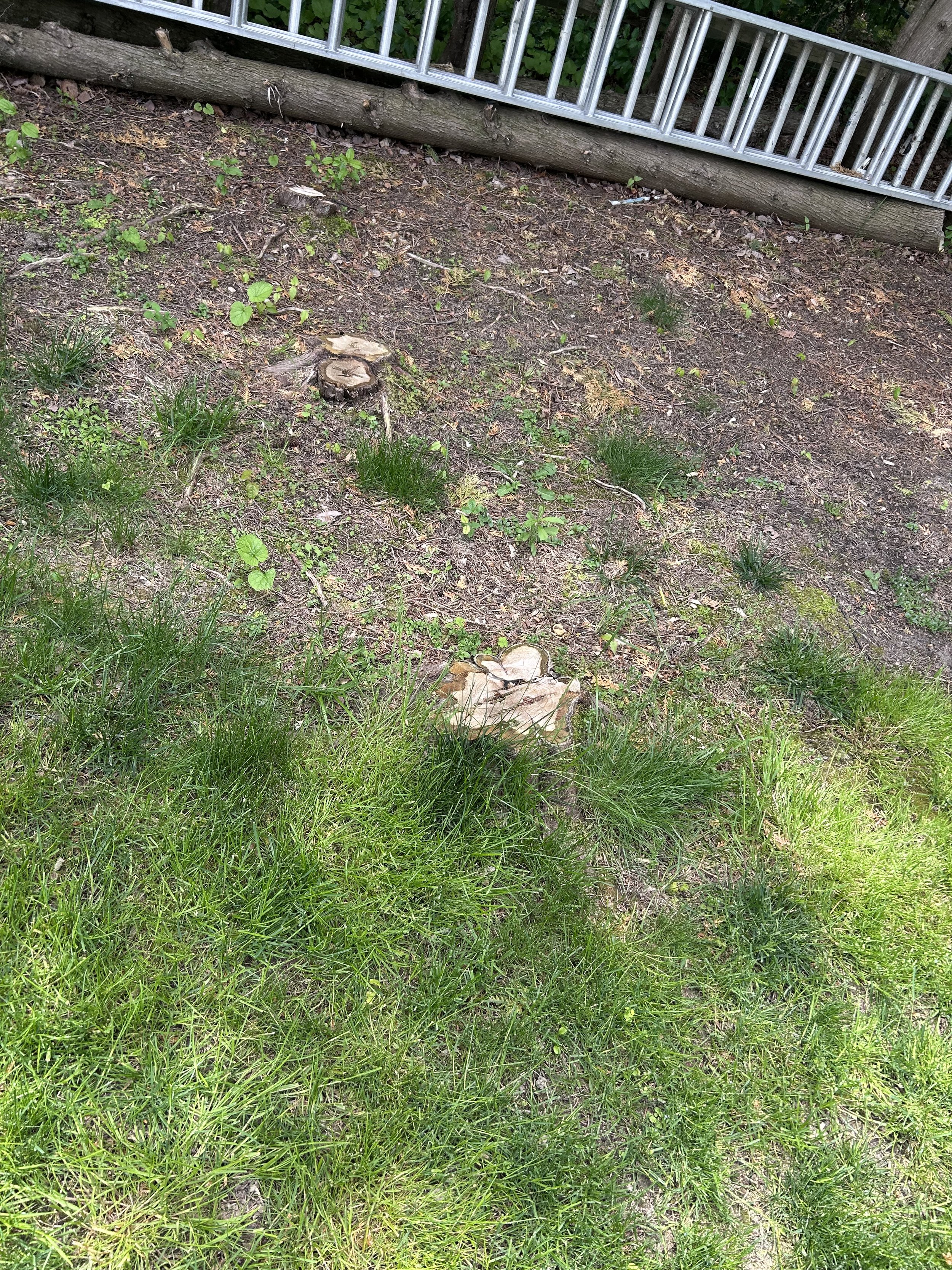 IMG_6959.jpeg