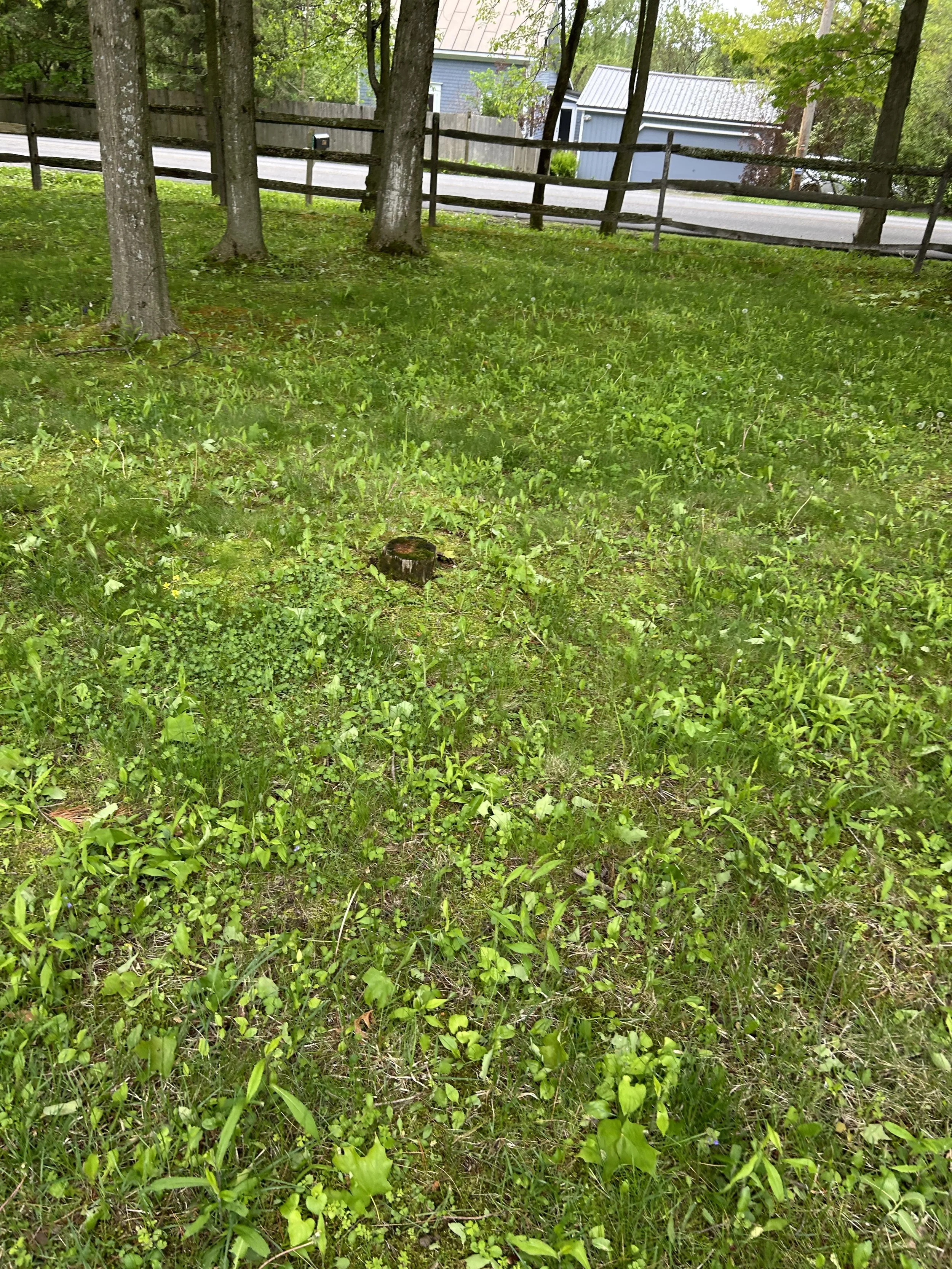 IMG_3140.jpeg