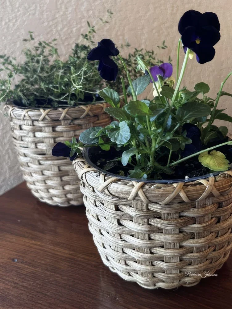 Hazel-Windowsill-Basket-Glamours-Fall26.jpg