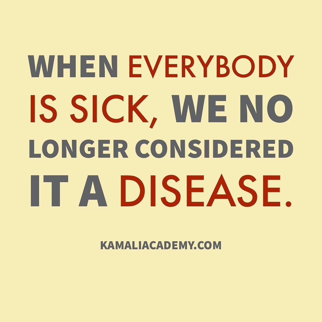 Yet, miseducation and cultural misorientation are indeed diseases that run rampant in our community. We endeavor to be apart of the group of healers who bring us back to our natural, healthy, Afrikan selves. #KamaliAcademy

#blackhomeschooling #black