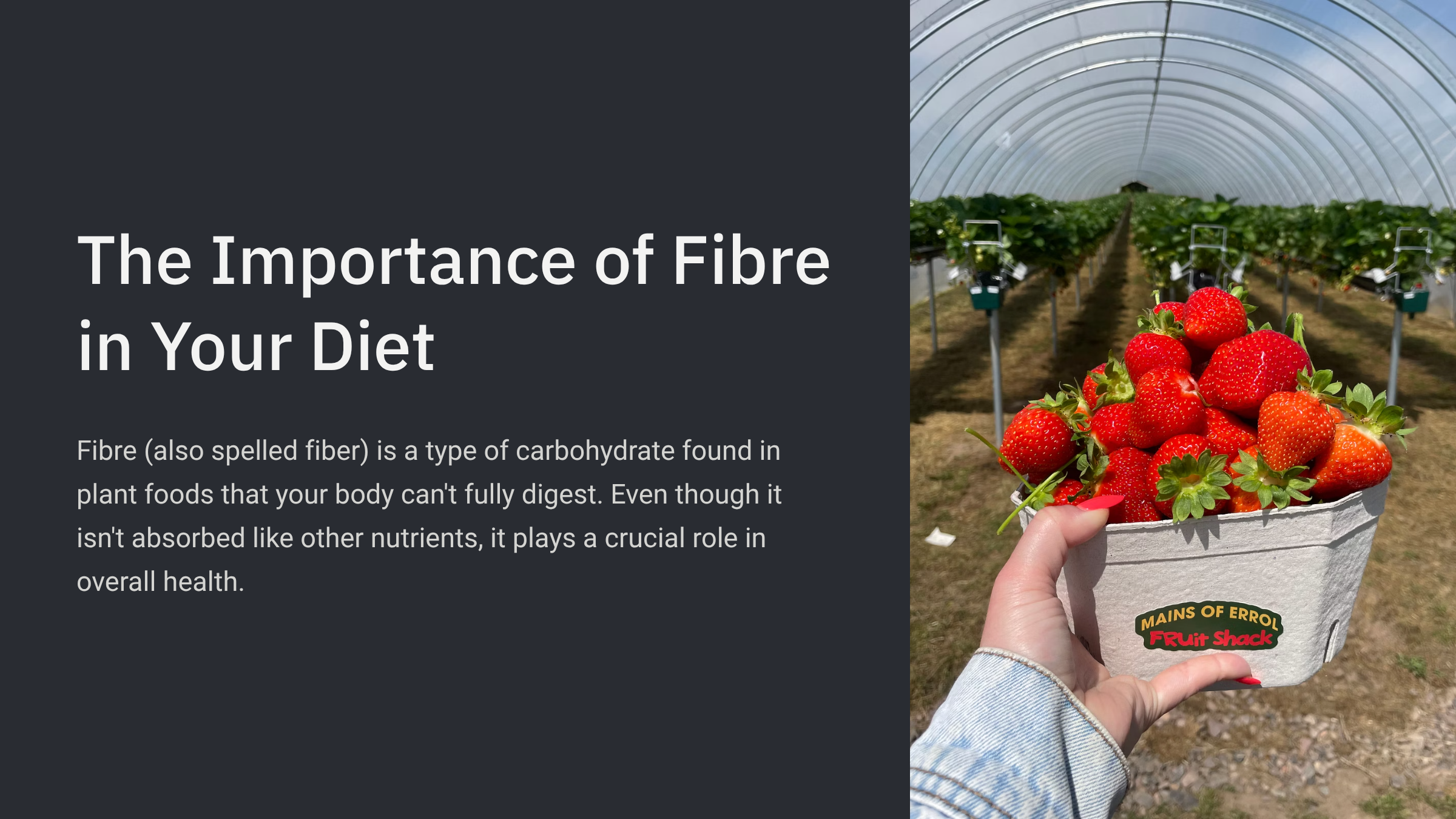 1_The-Importance-of-Fibre-in-Your-Diet.png