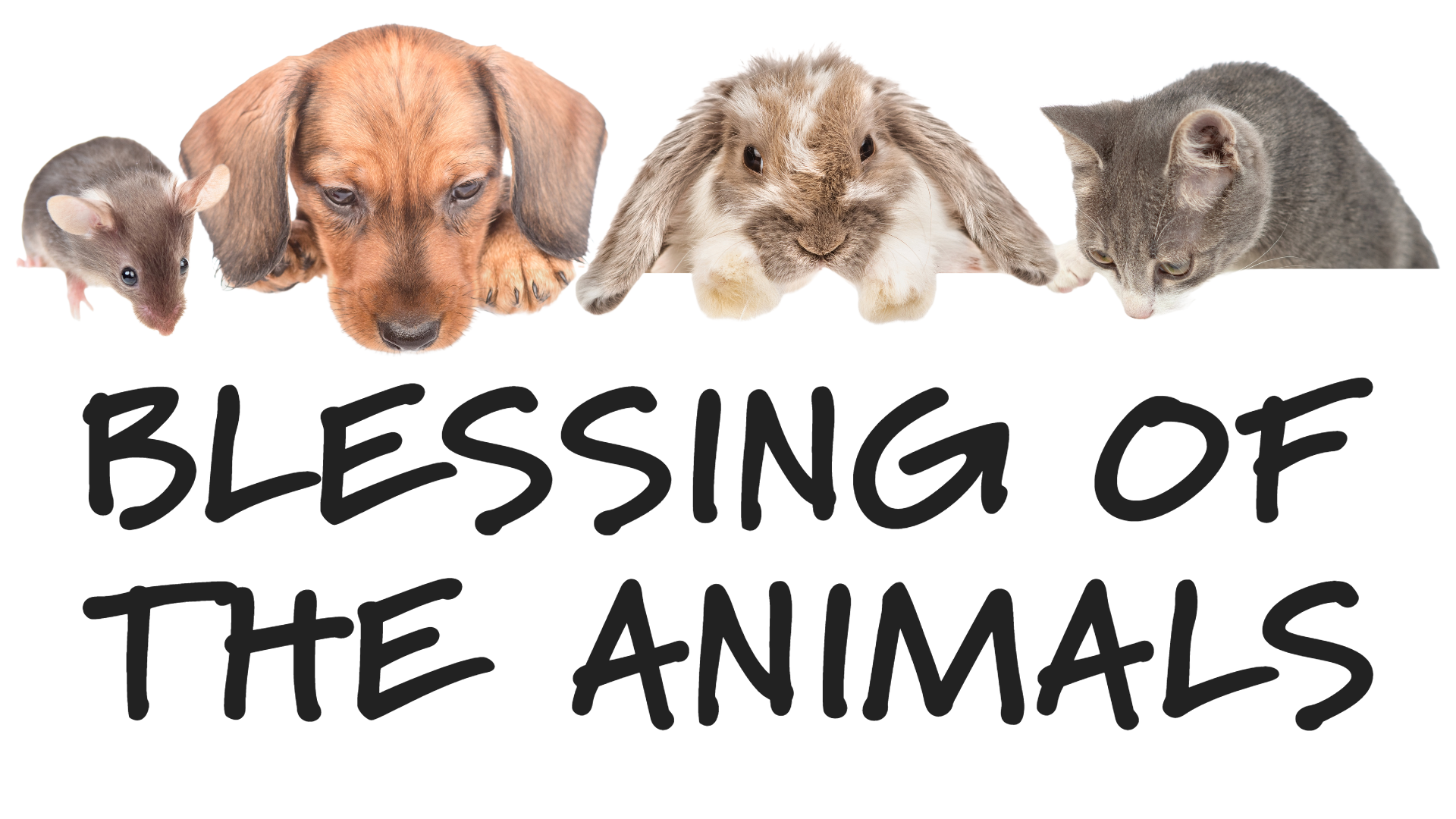 9/28: Blessing of the Animals