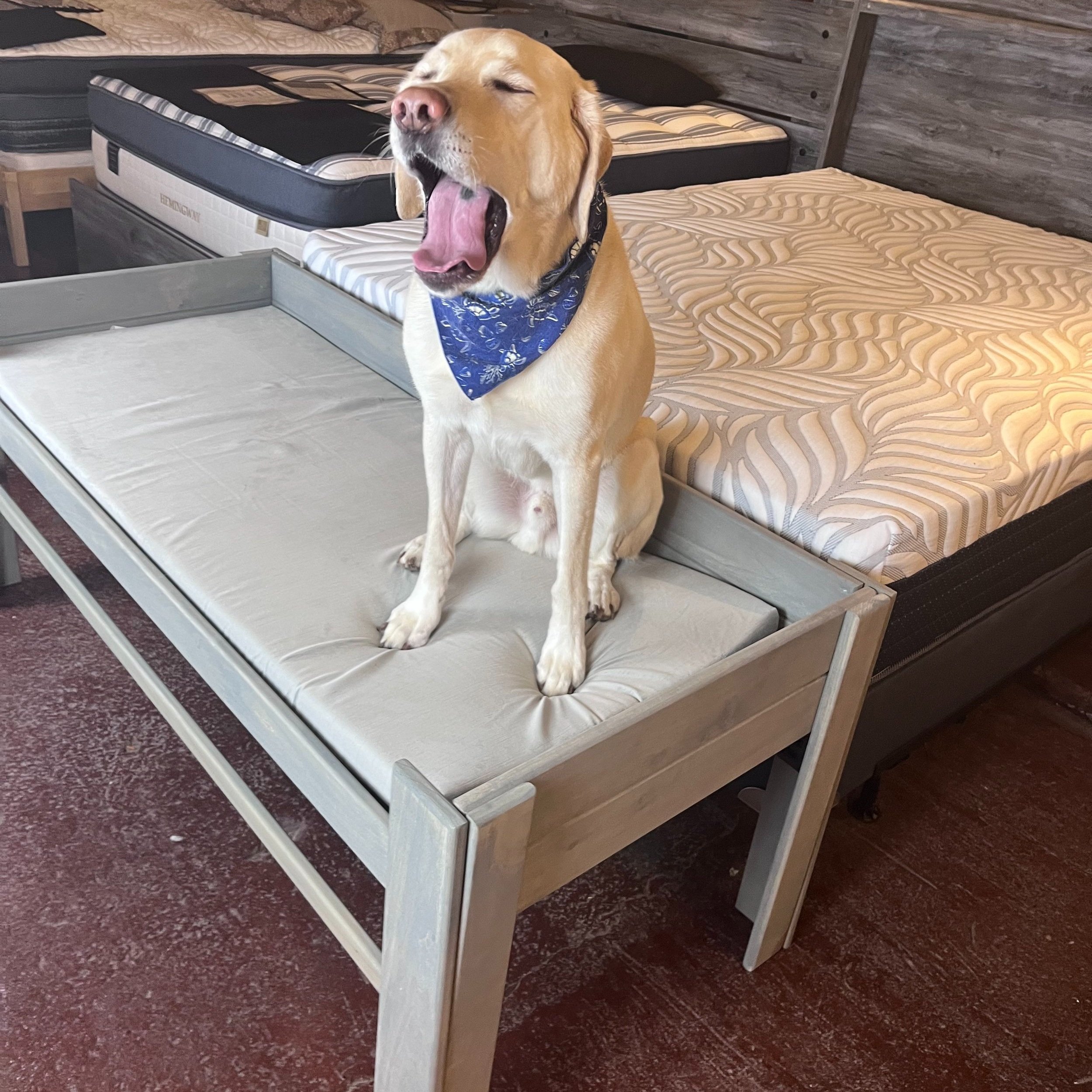 Dog Bed Mattress Extender Customized Elevated Dog Bed for Human Mattress