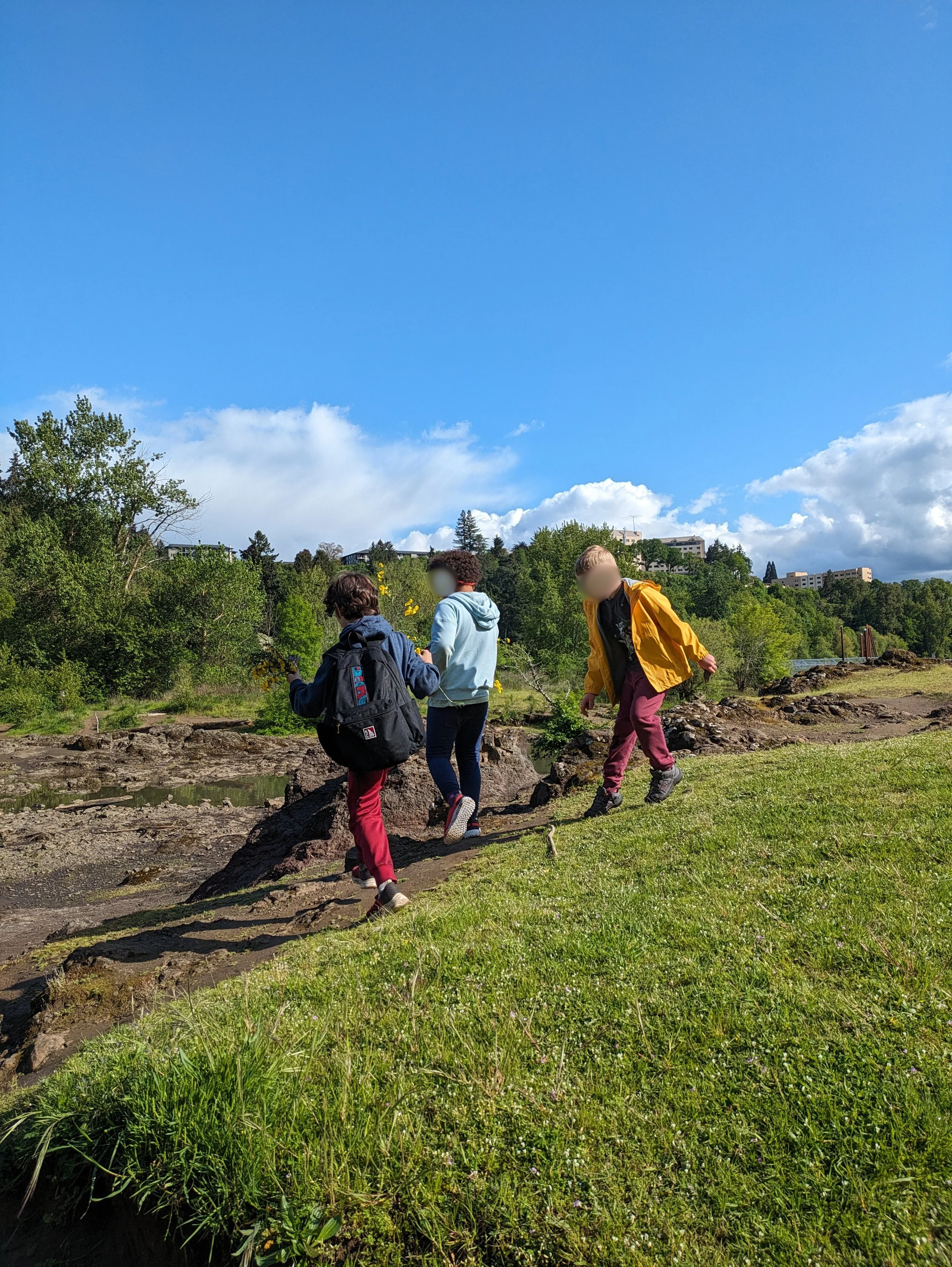 Small group of children collaborating on a nature challenge in a social skills group with Thrive Outside