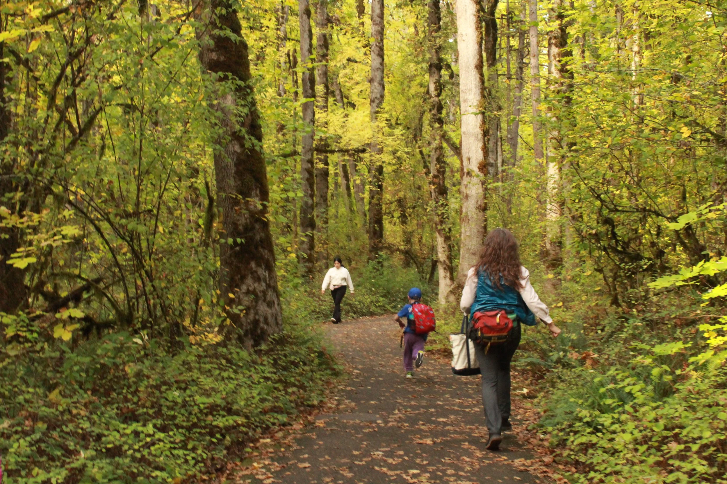 nature-based pediatric OT helps kids through movement and occupational therapy