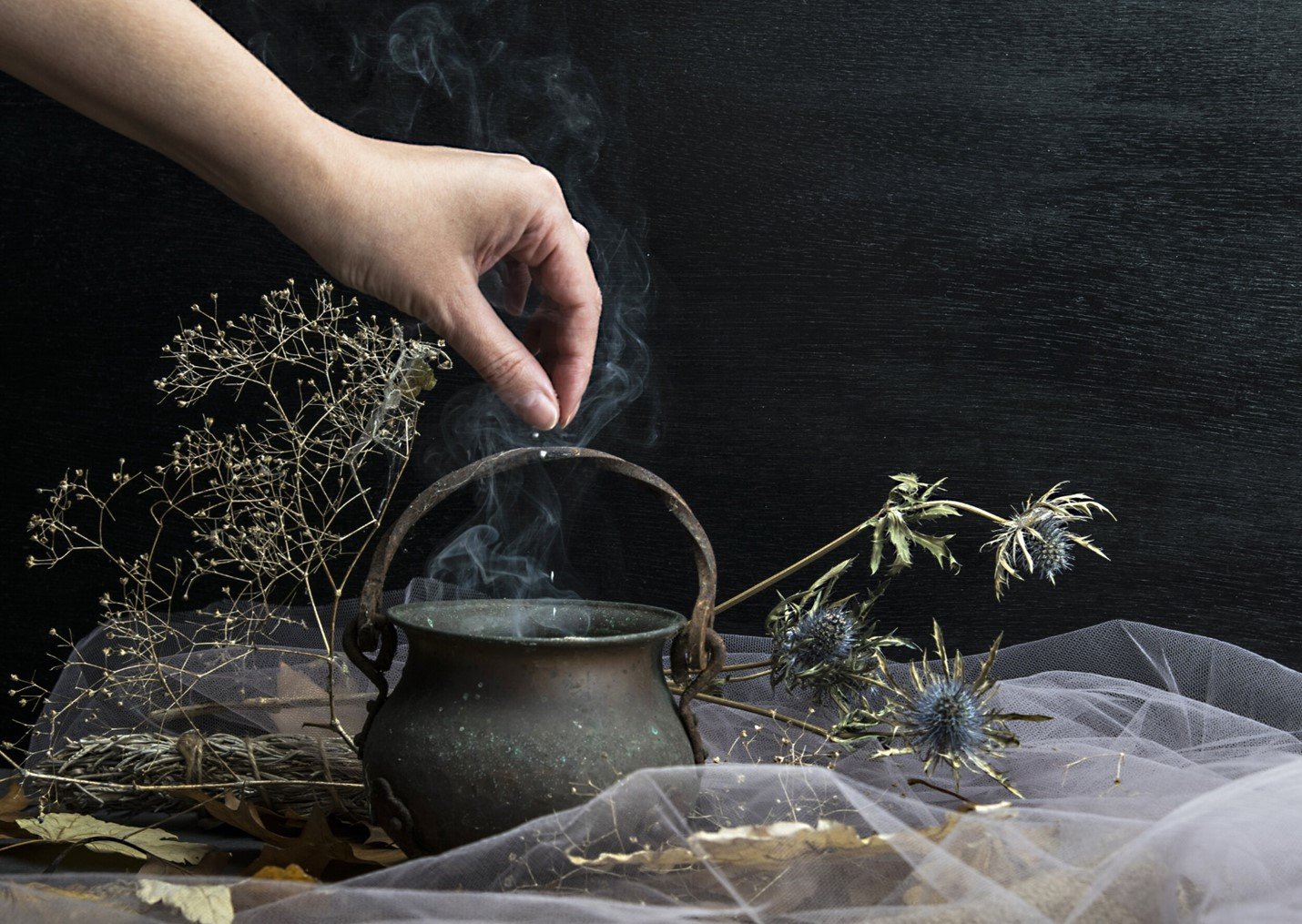 Herbalism Chat for May