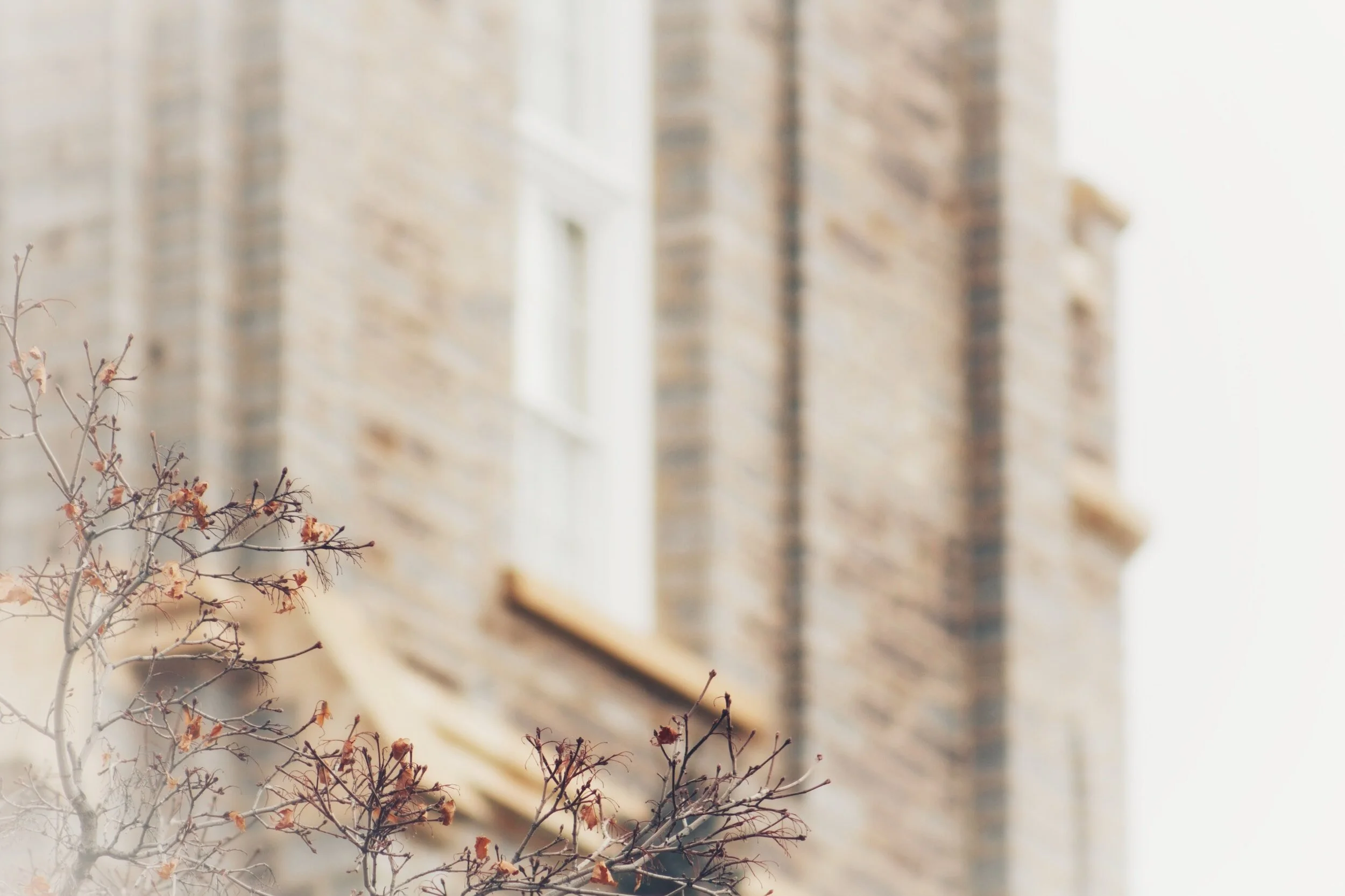 after the great stories are lost in the world’s upheavals