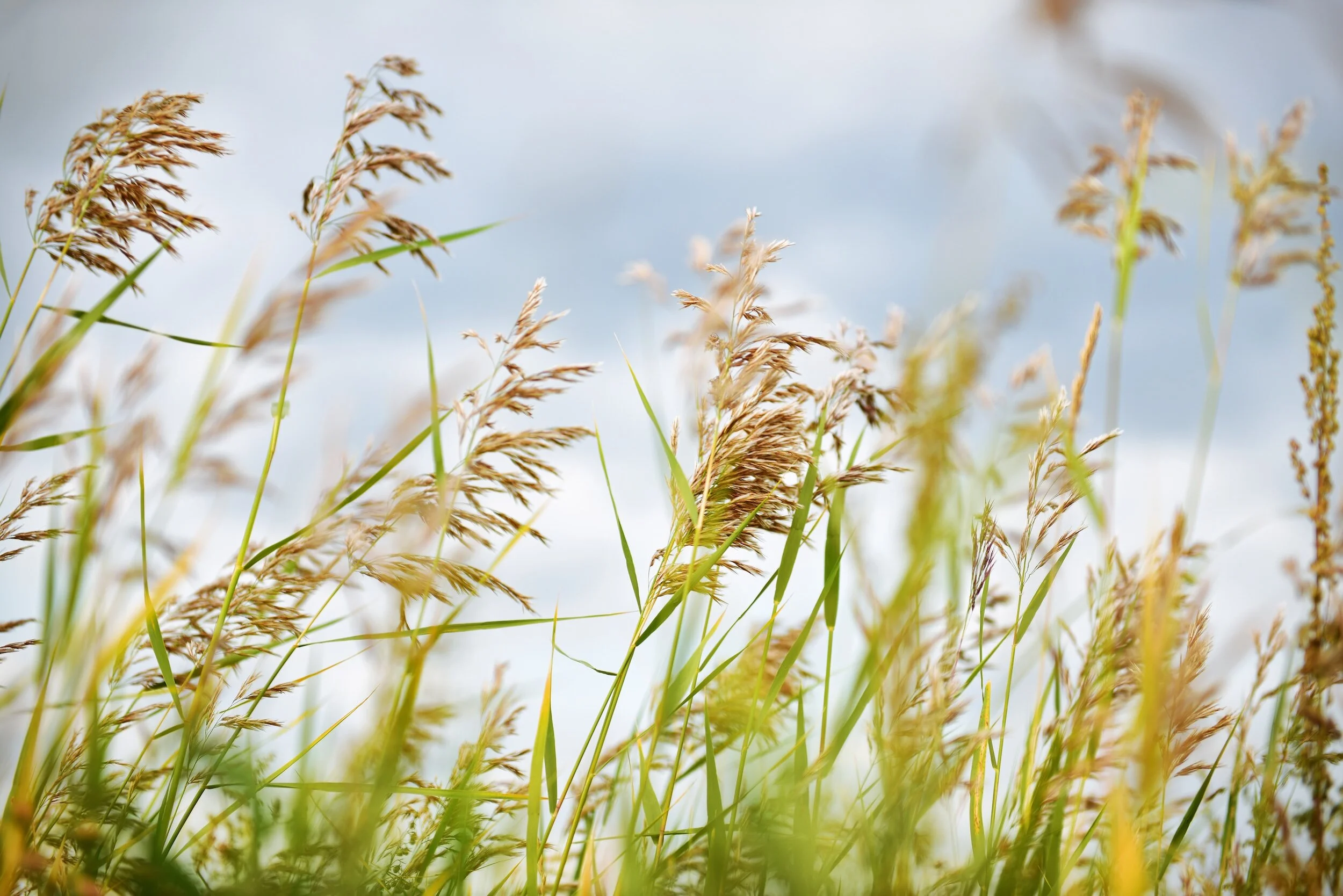 My hand does not know it is hungry