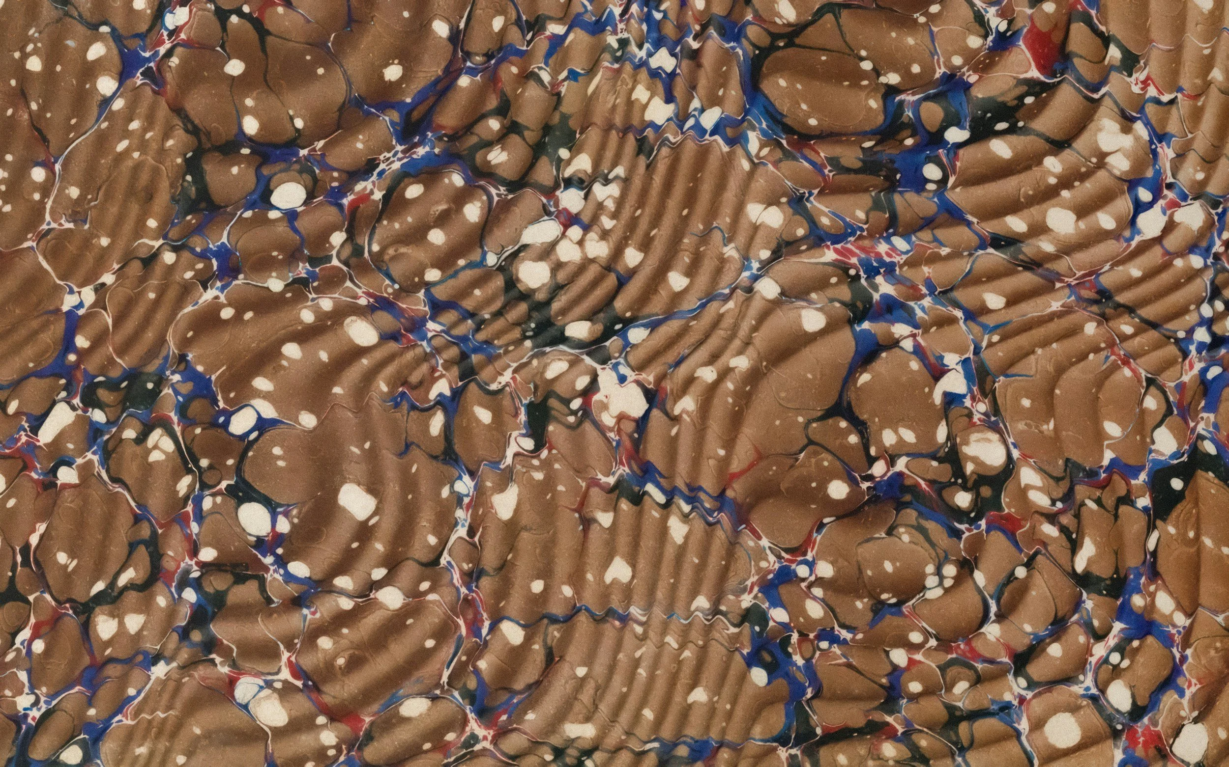 The Earring Collectors