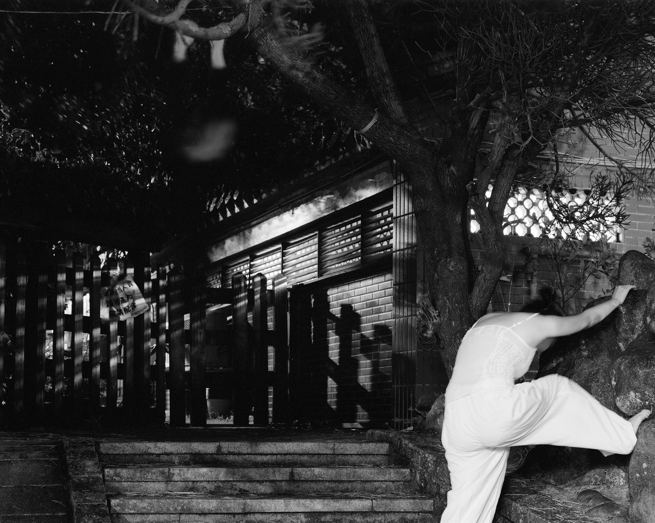 9. The Dreamer Remembers.jpg