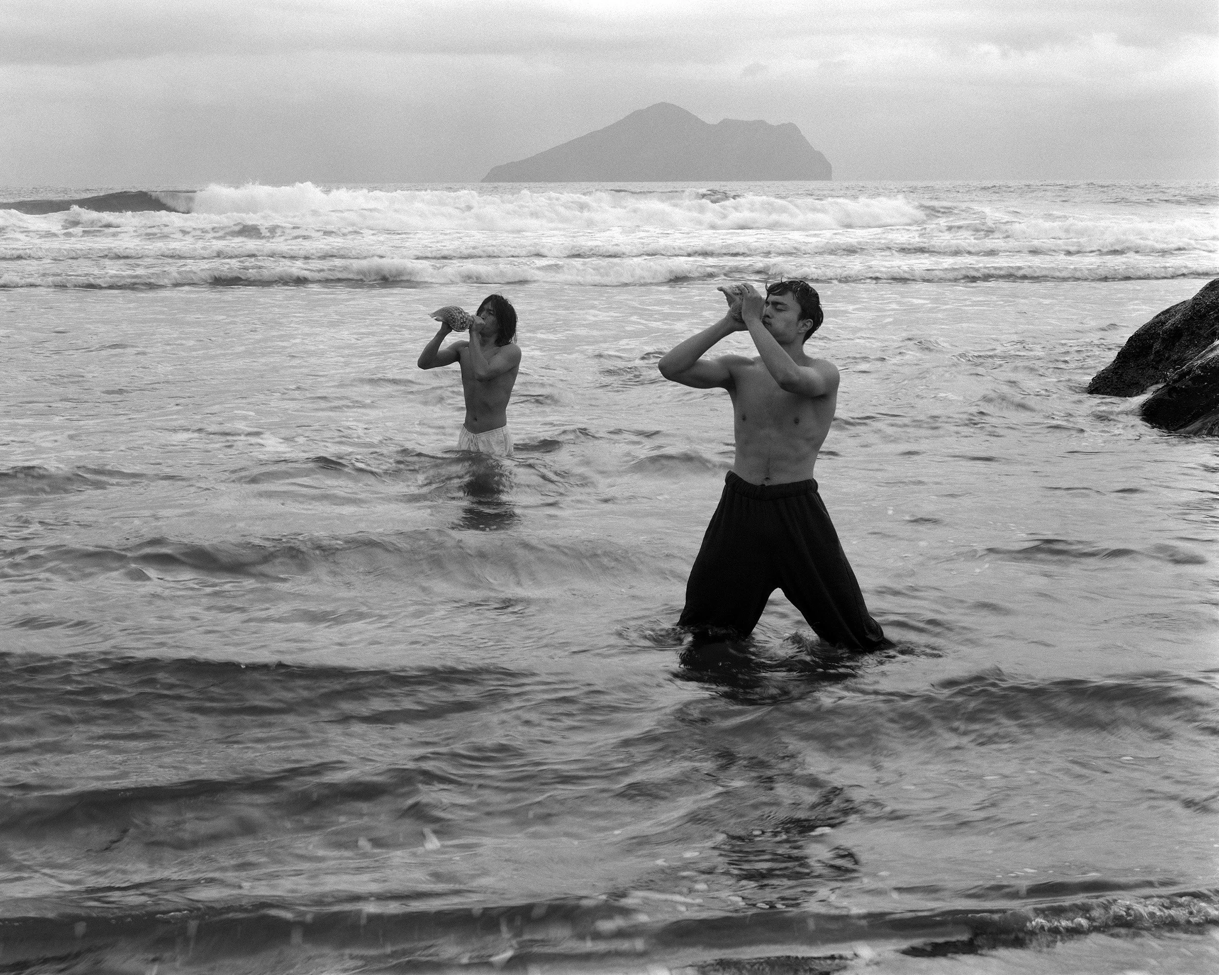 NEW_Conch Horns_2.jpg