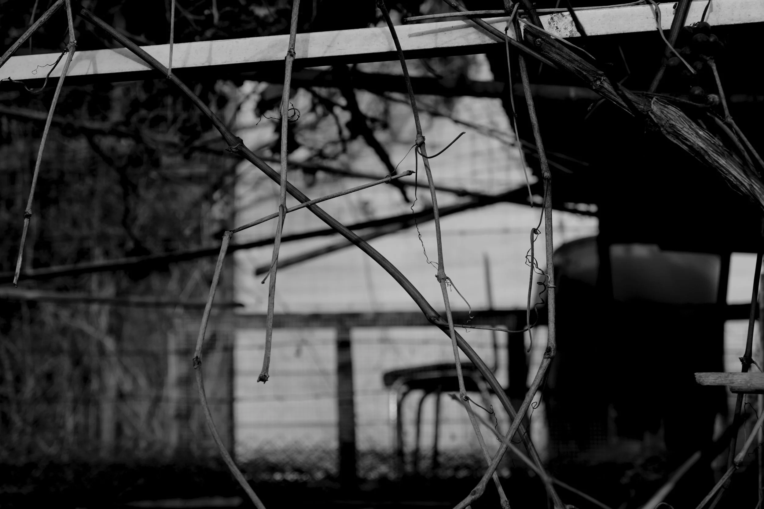 poetics of the eye 6 by ruxandra mitache.JPG