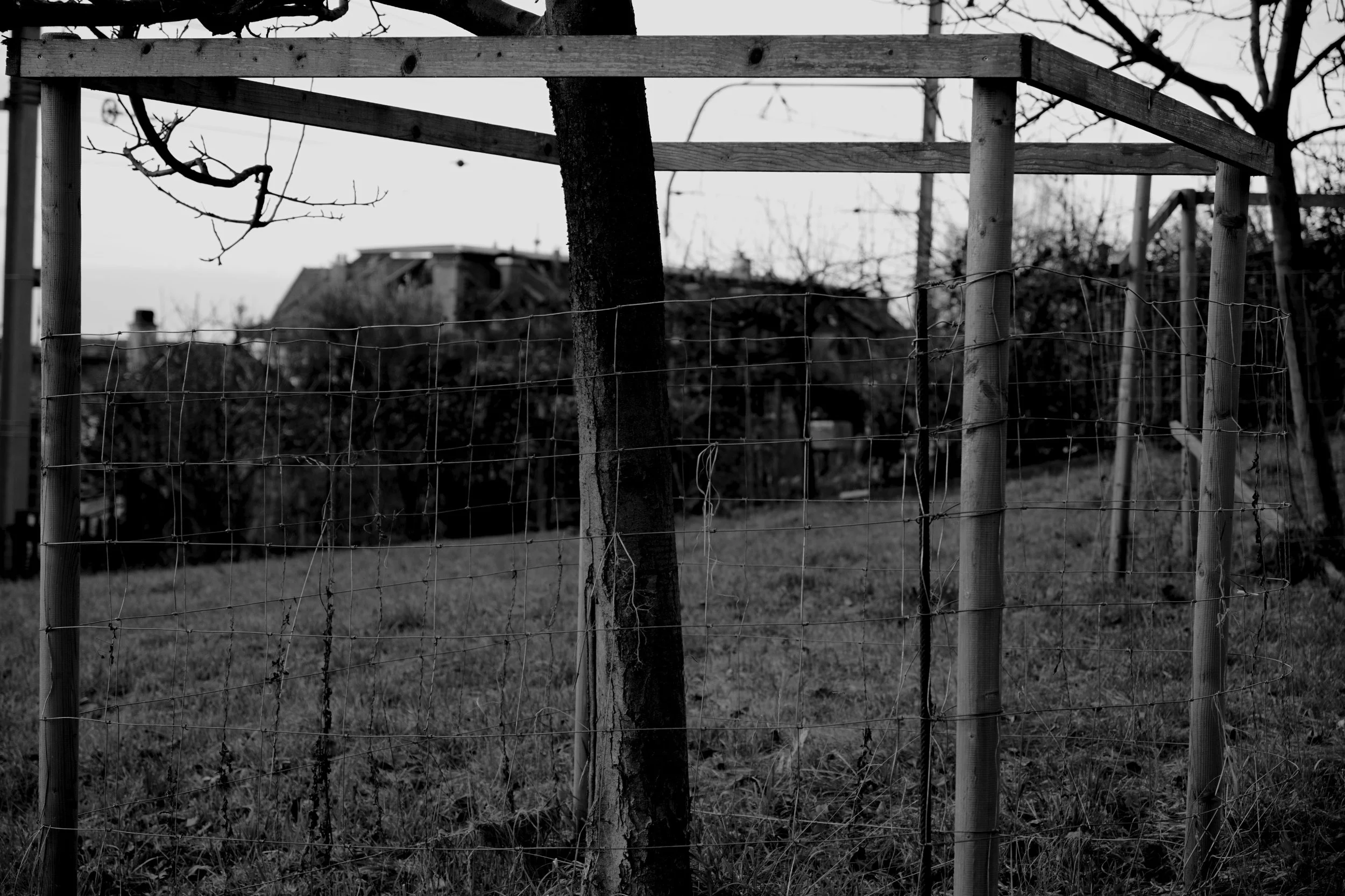 poetics of the eye 9 by ruxandra mitache.JPG