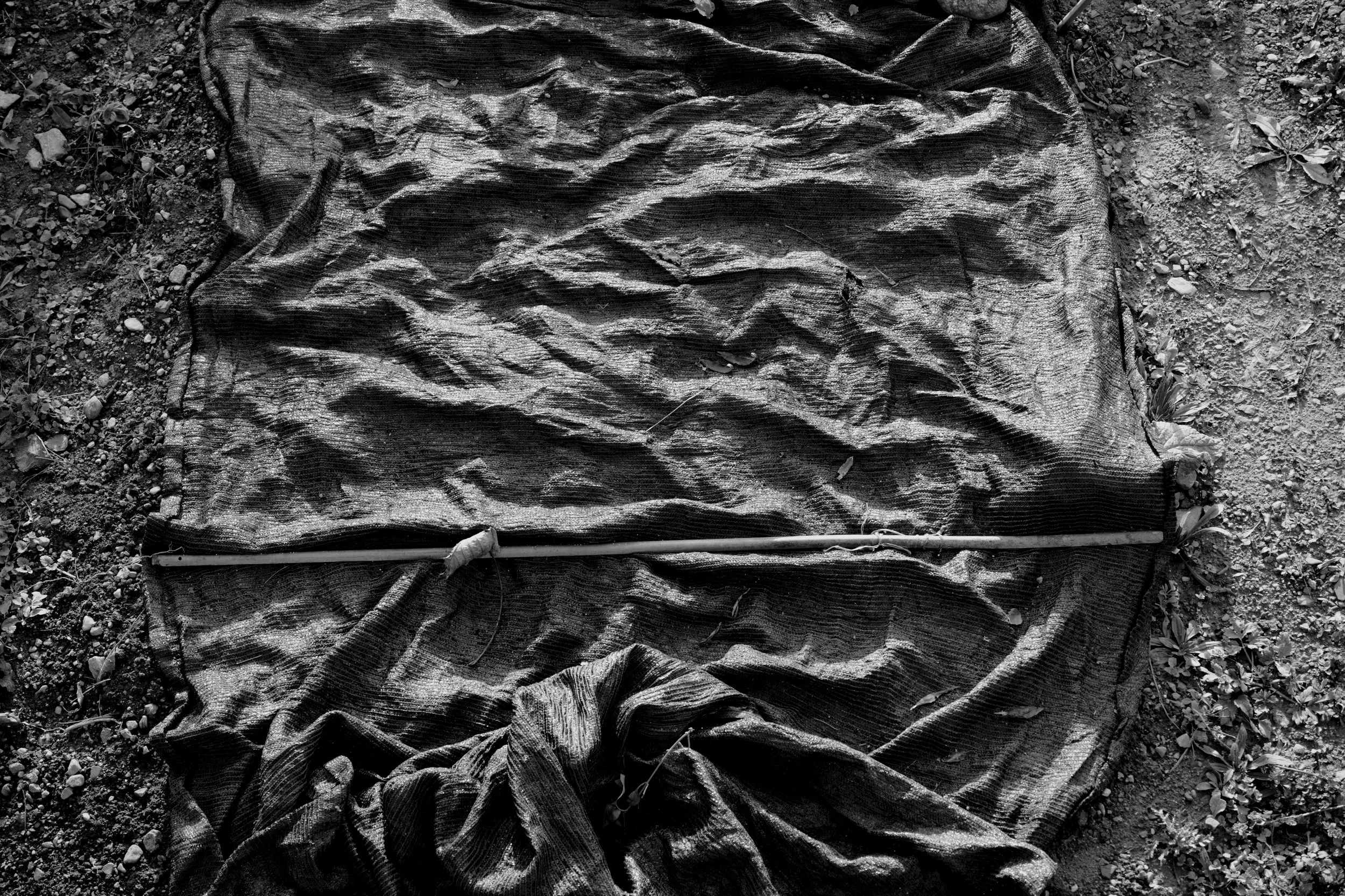poetics of the eye 12 by ruxandra mitache.JPG