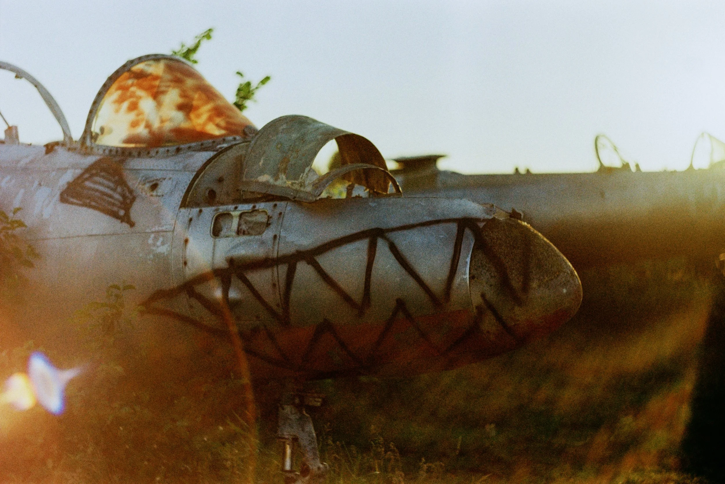 Sentimental Value-2.jpg